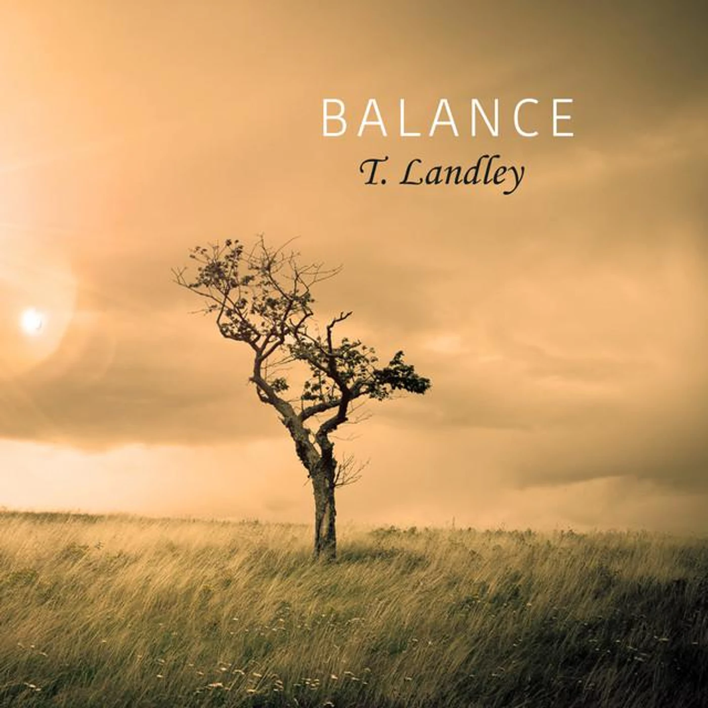 T. Landley Brand Page