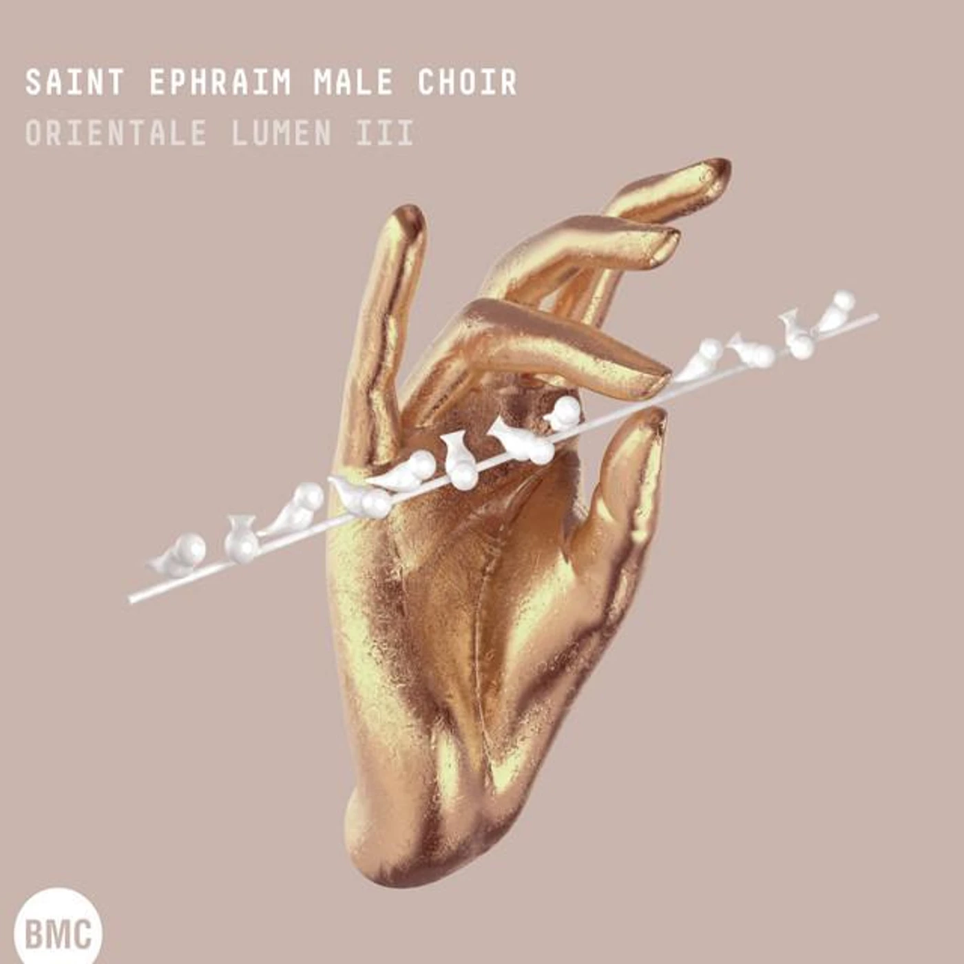 Tamás Bubnó Brand Page