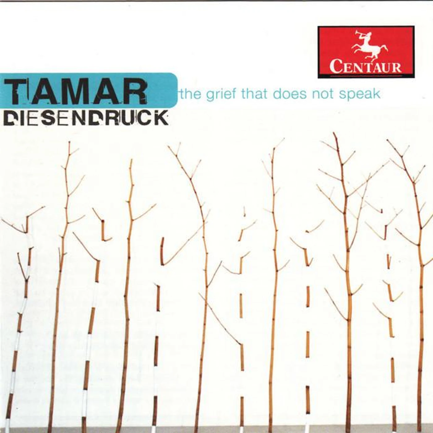 Tamar Diesendruck Brand Page