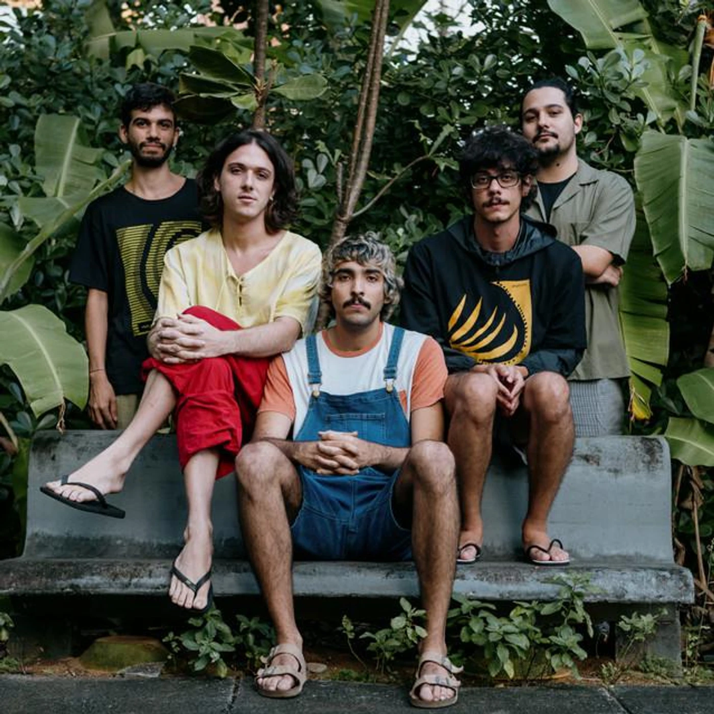 Tangolo Mangos Brand Page