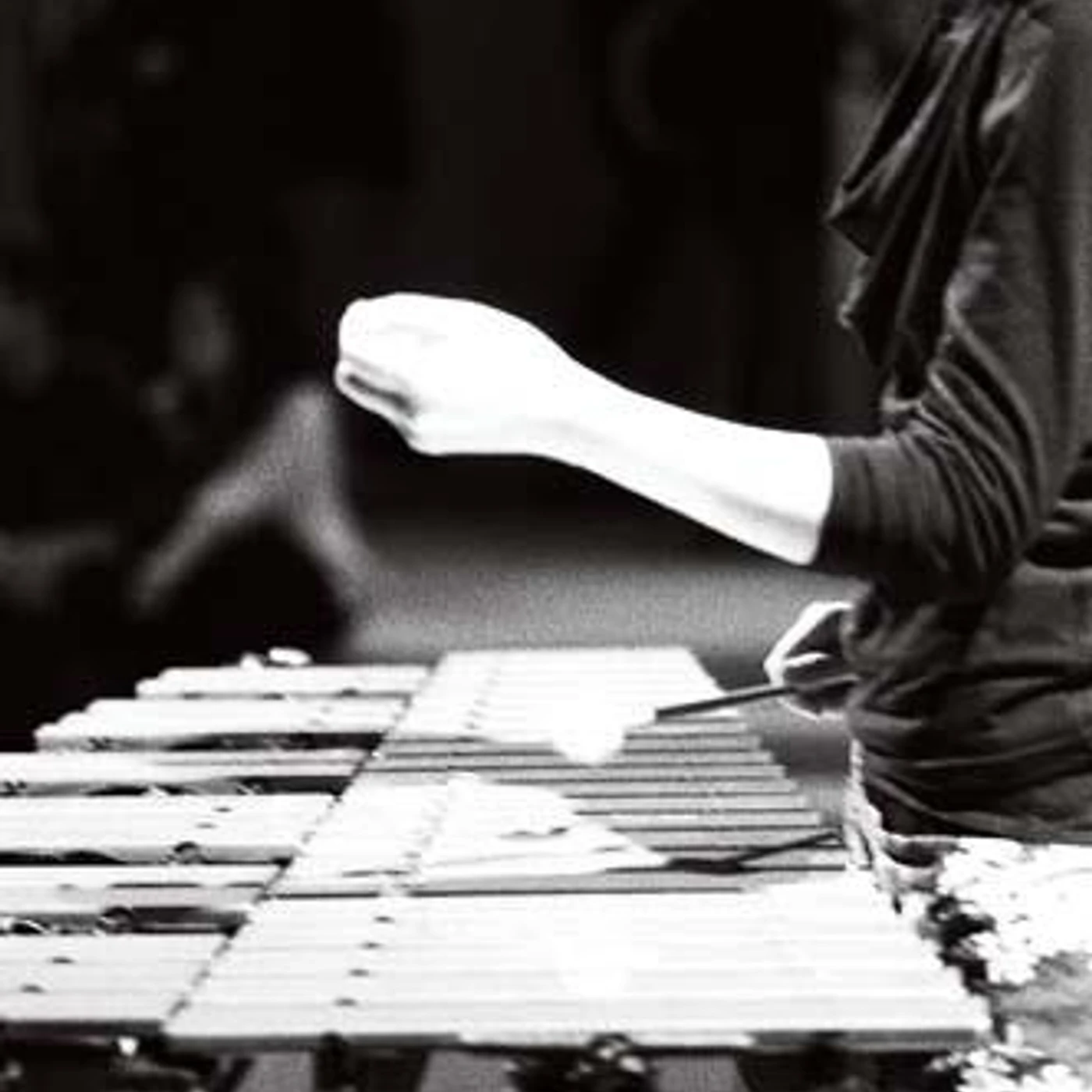 Taiko Saito Brand Page