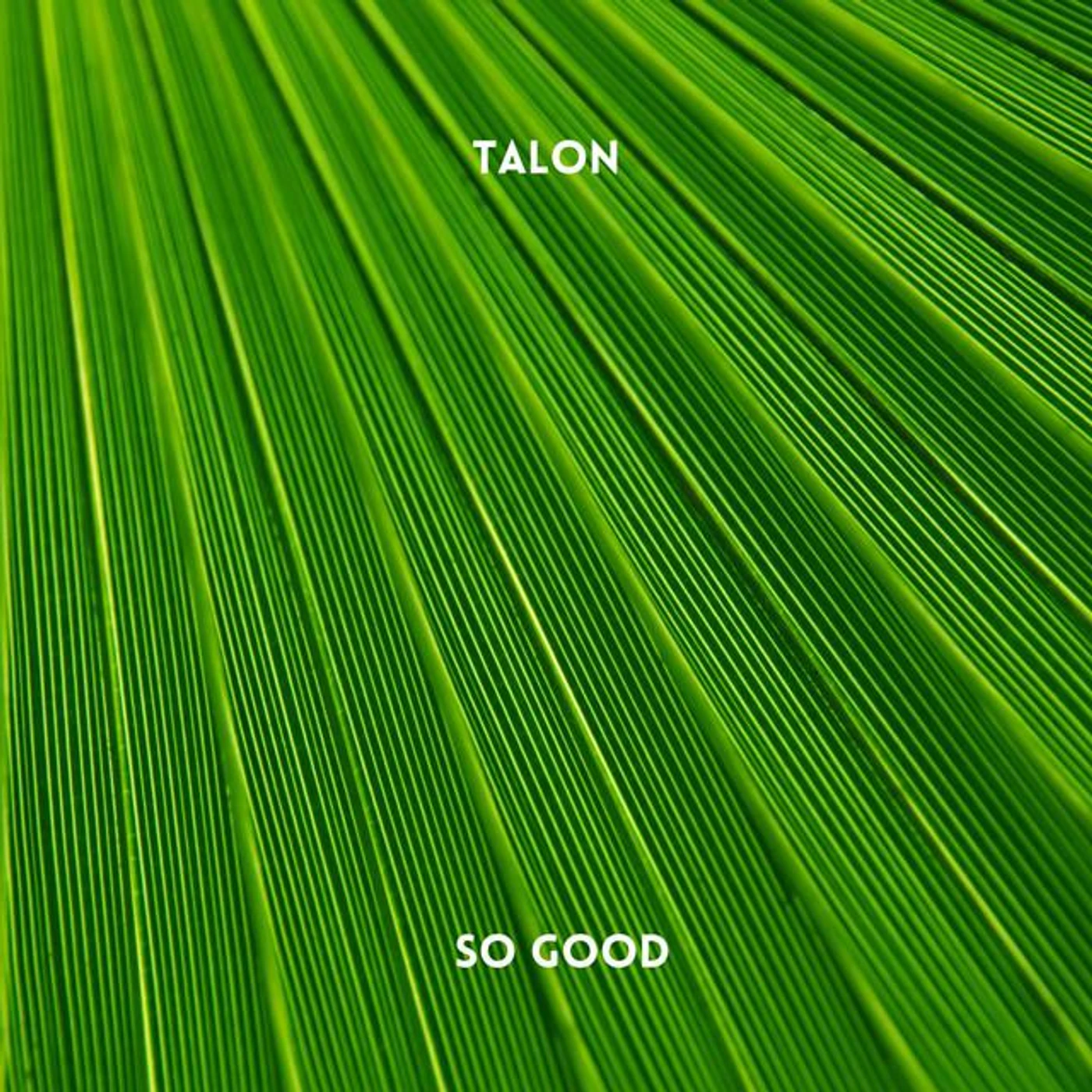 Talon Brand Page