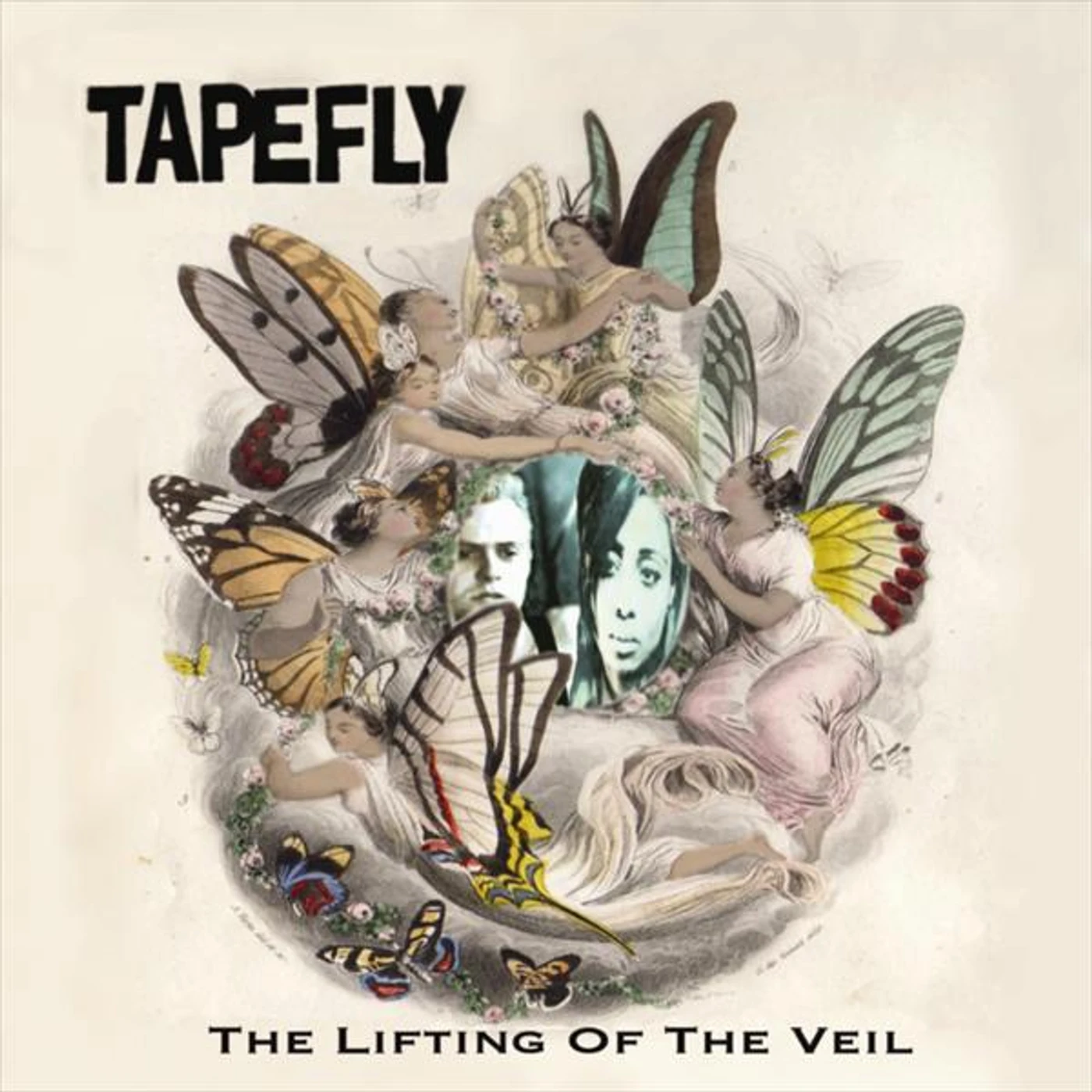 Tapefly Brand Page