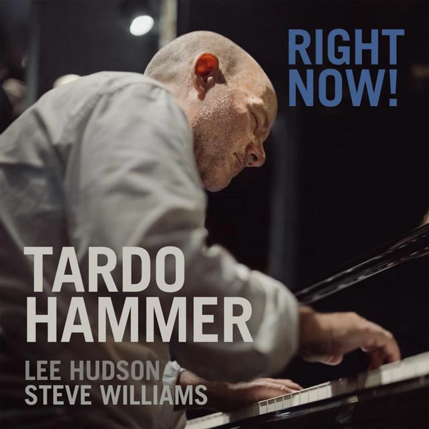 Tardo Hammer Brand Page