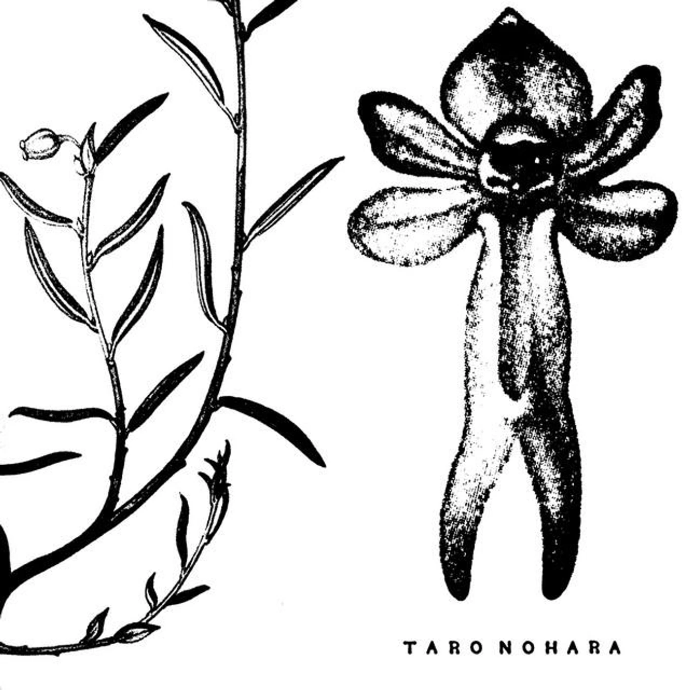Taro Nohara Brand Page