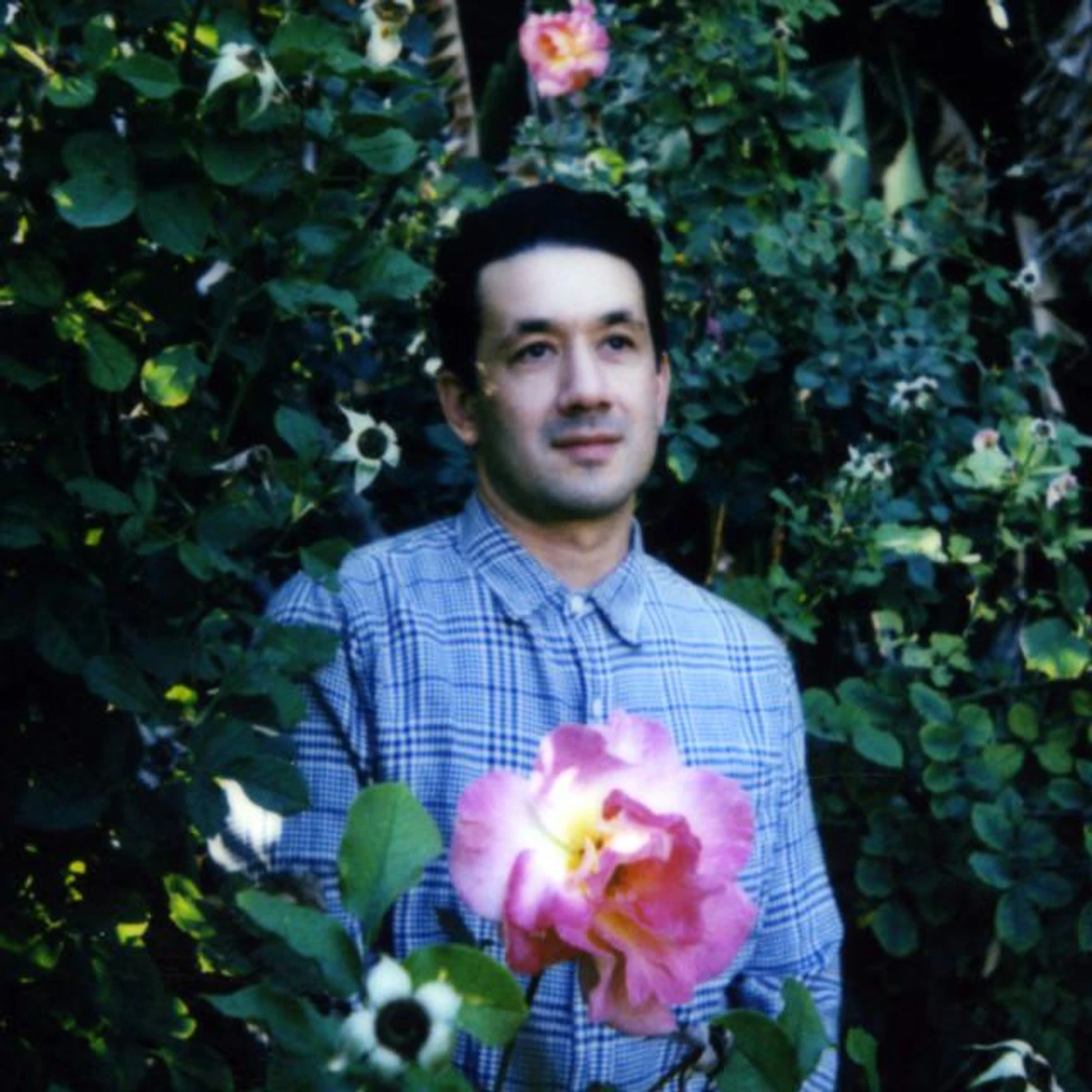 Tashi Wada Brand Page