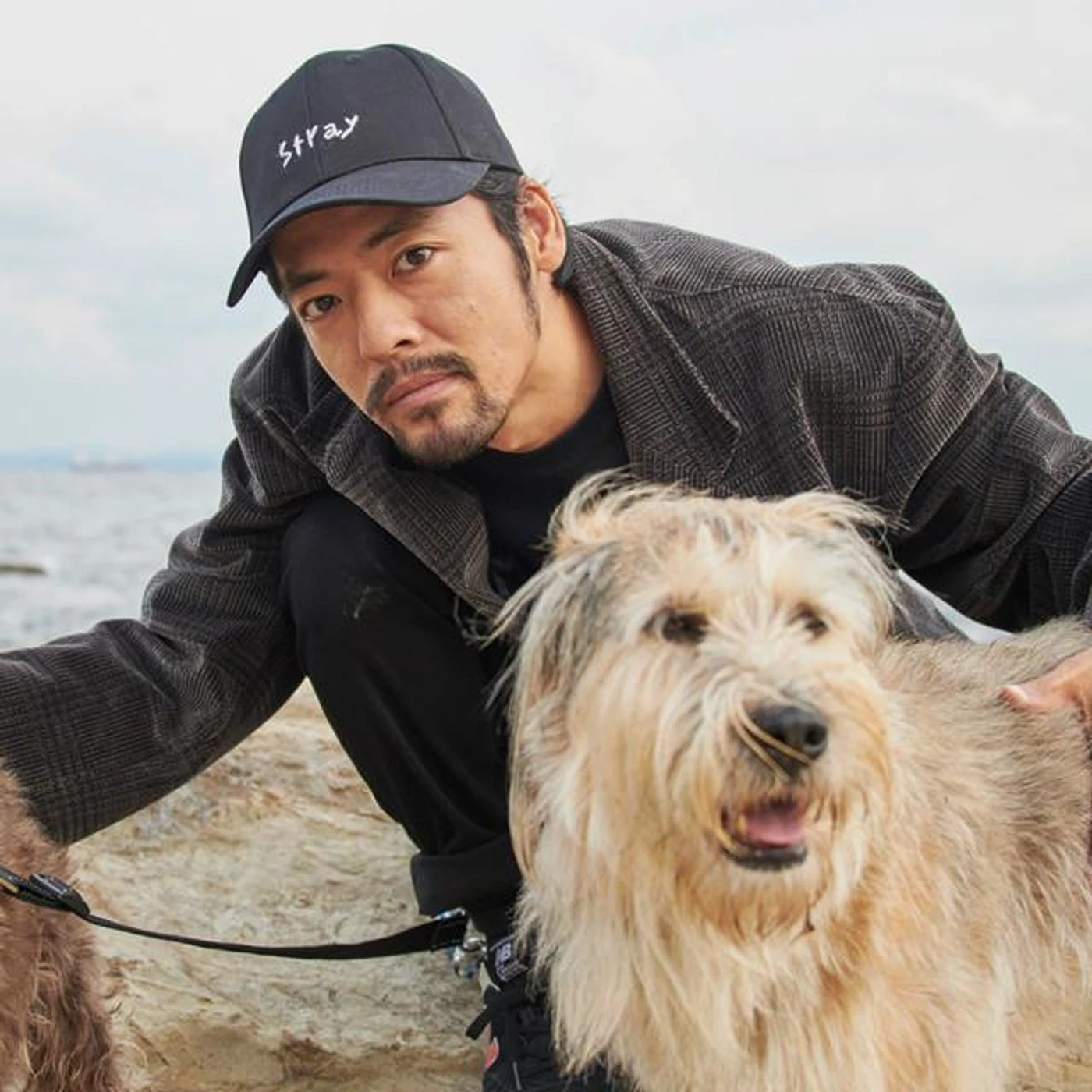 Tavito Nanao Brand Page