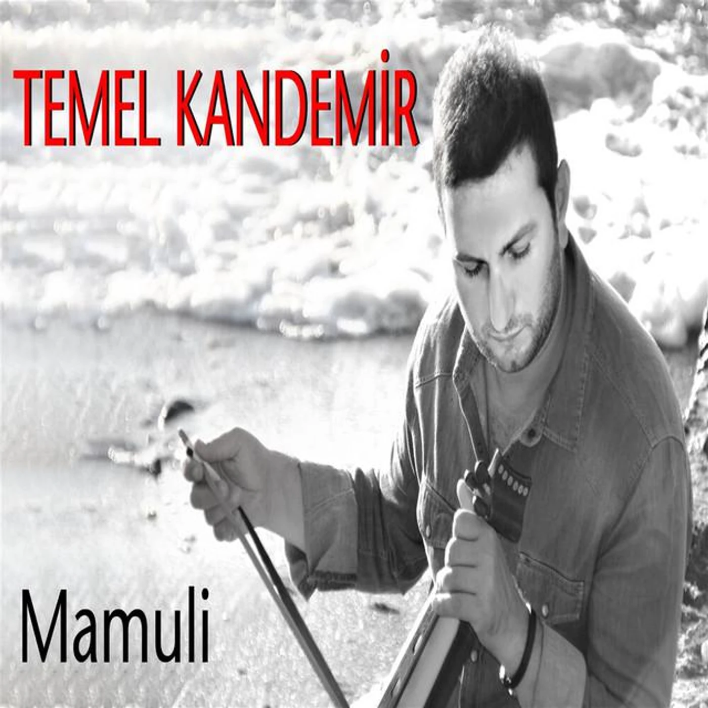 Temel Kandemir Brand Page