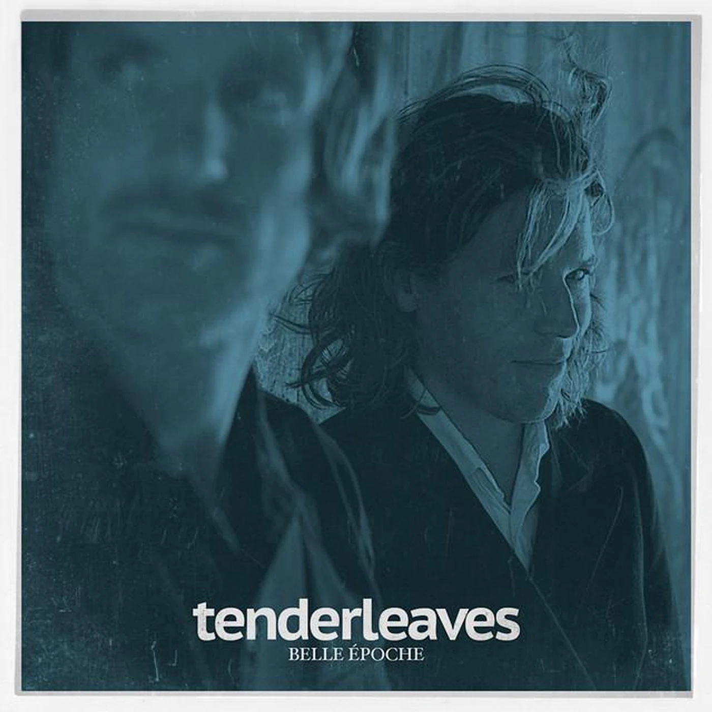 Tenderleaves Brand Page