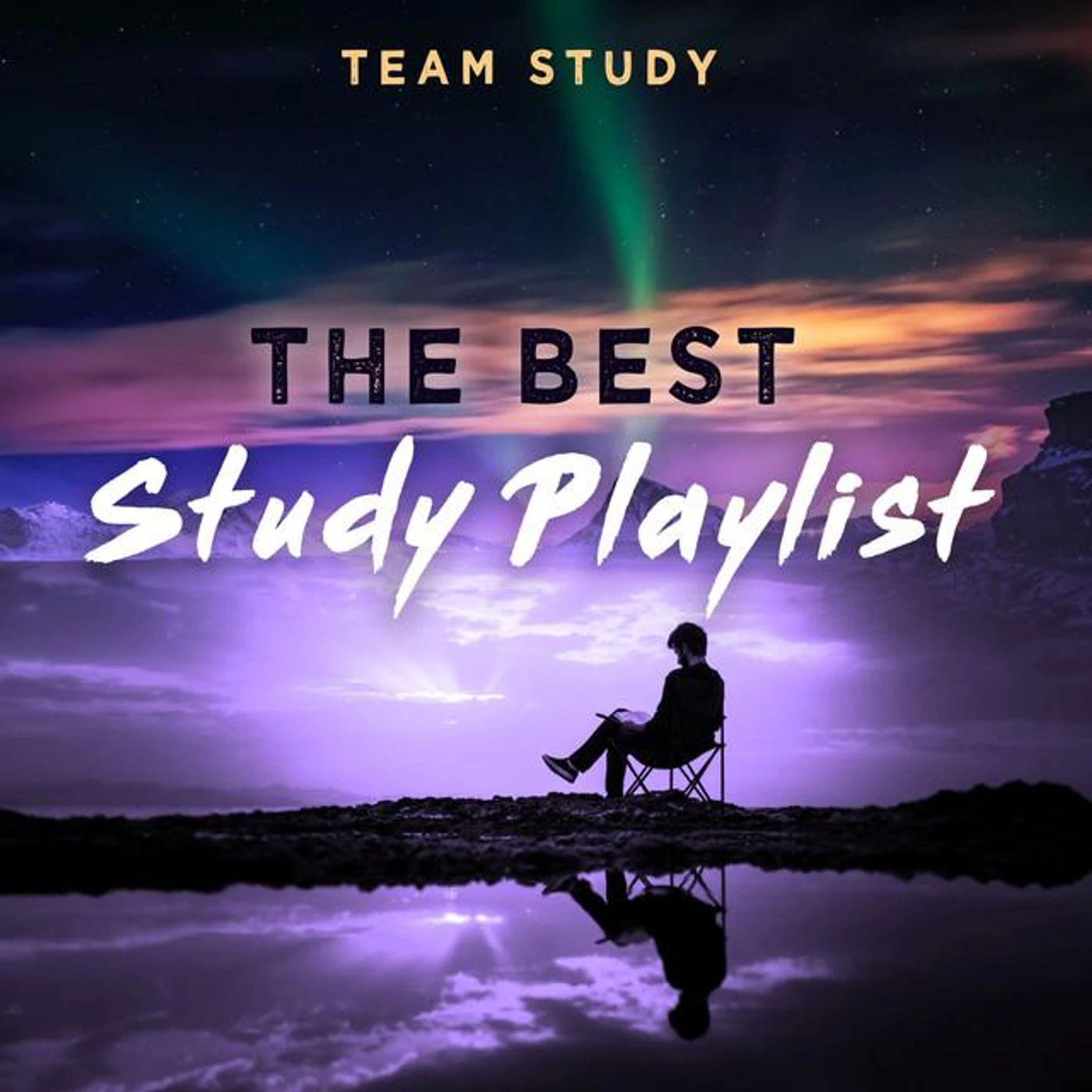 Team Study