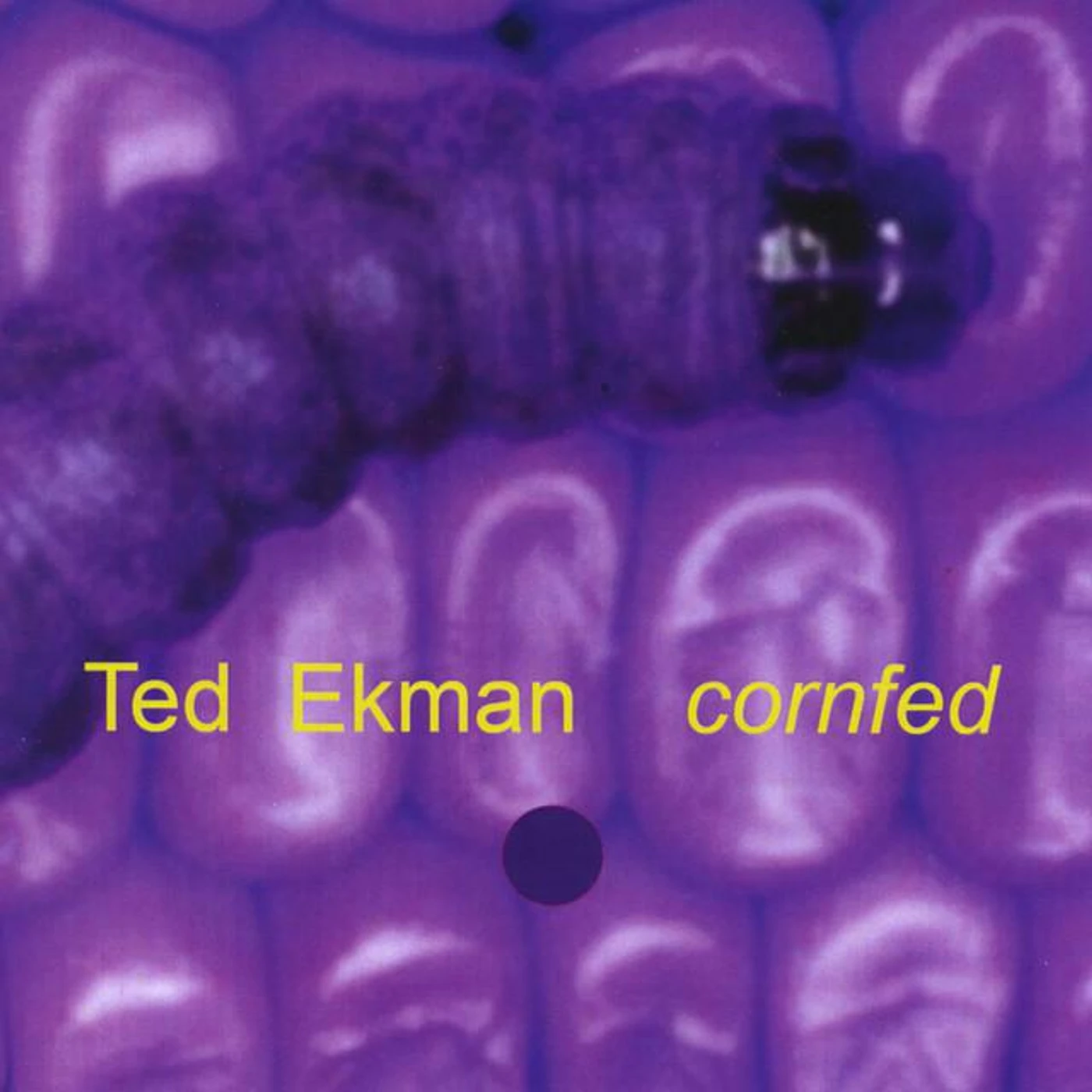 Ted Ekman