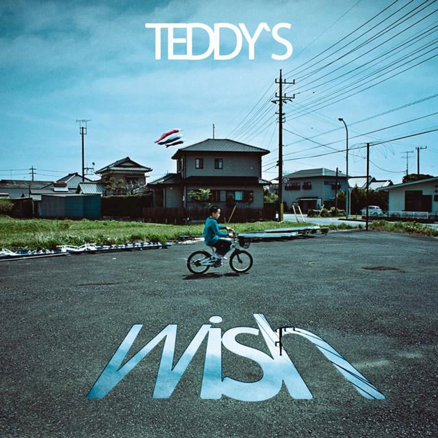 Teddy's Wish