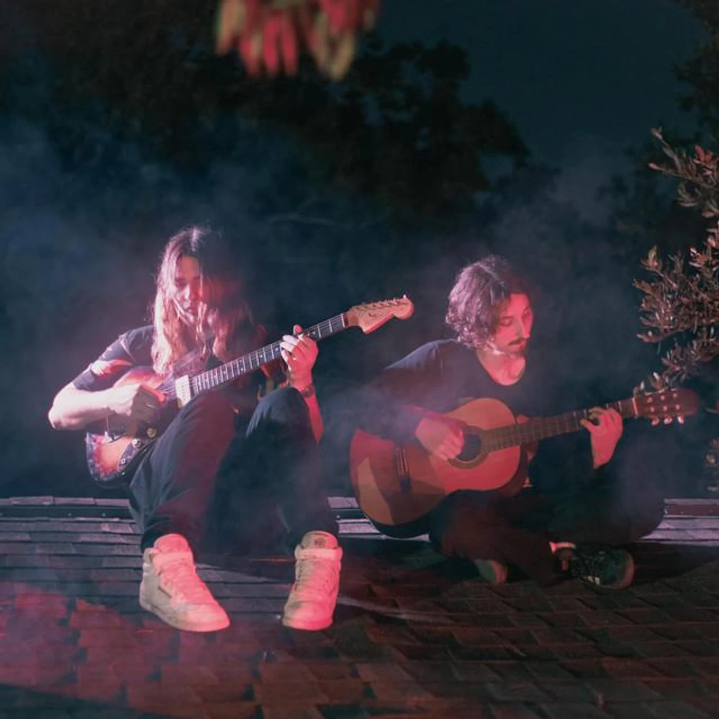 Teenage Wildlife Brand Page