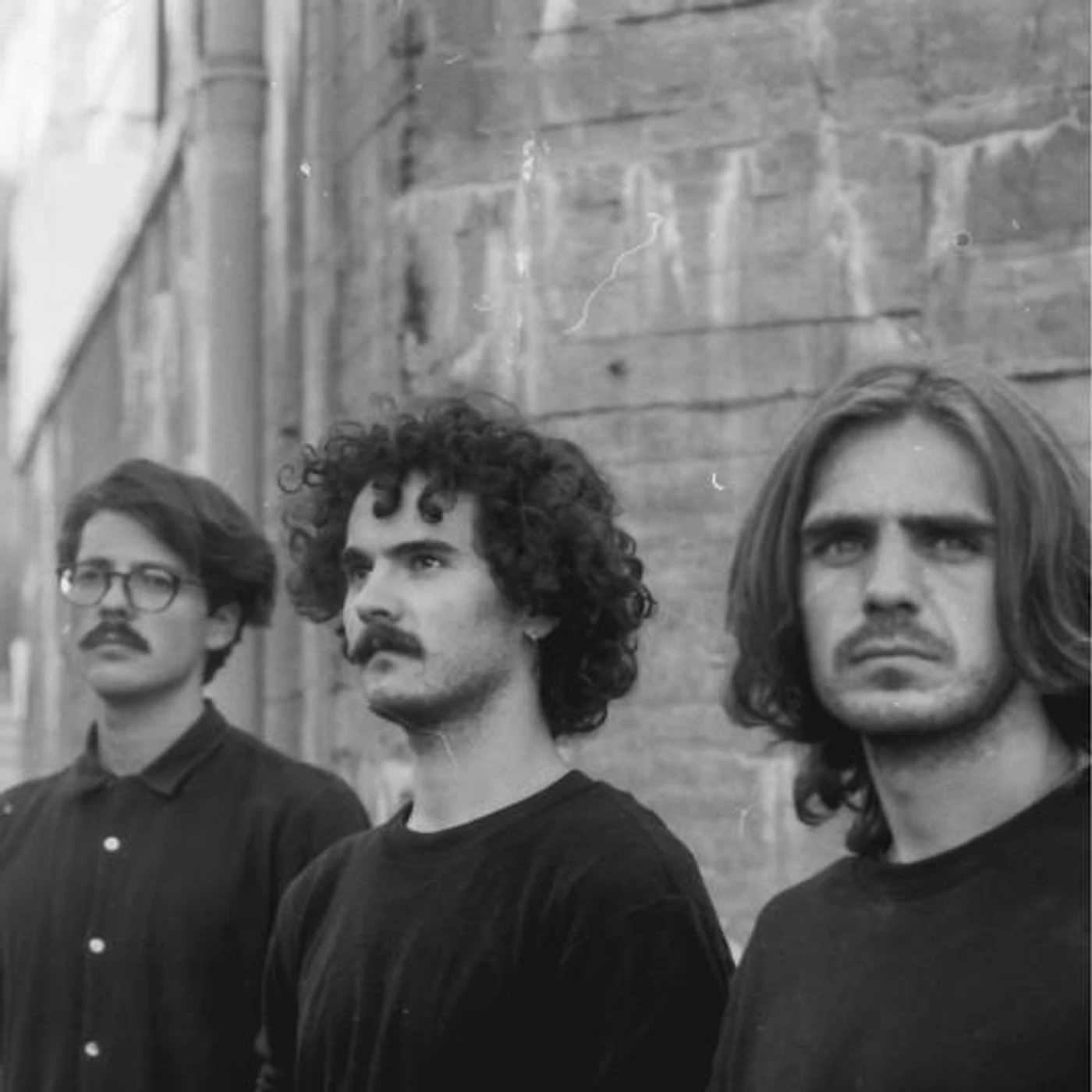 TEIP TRIO