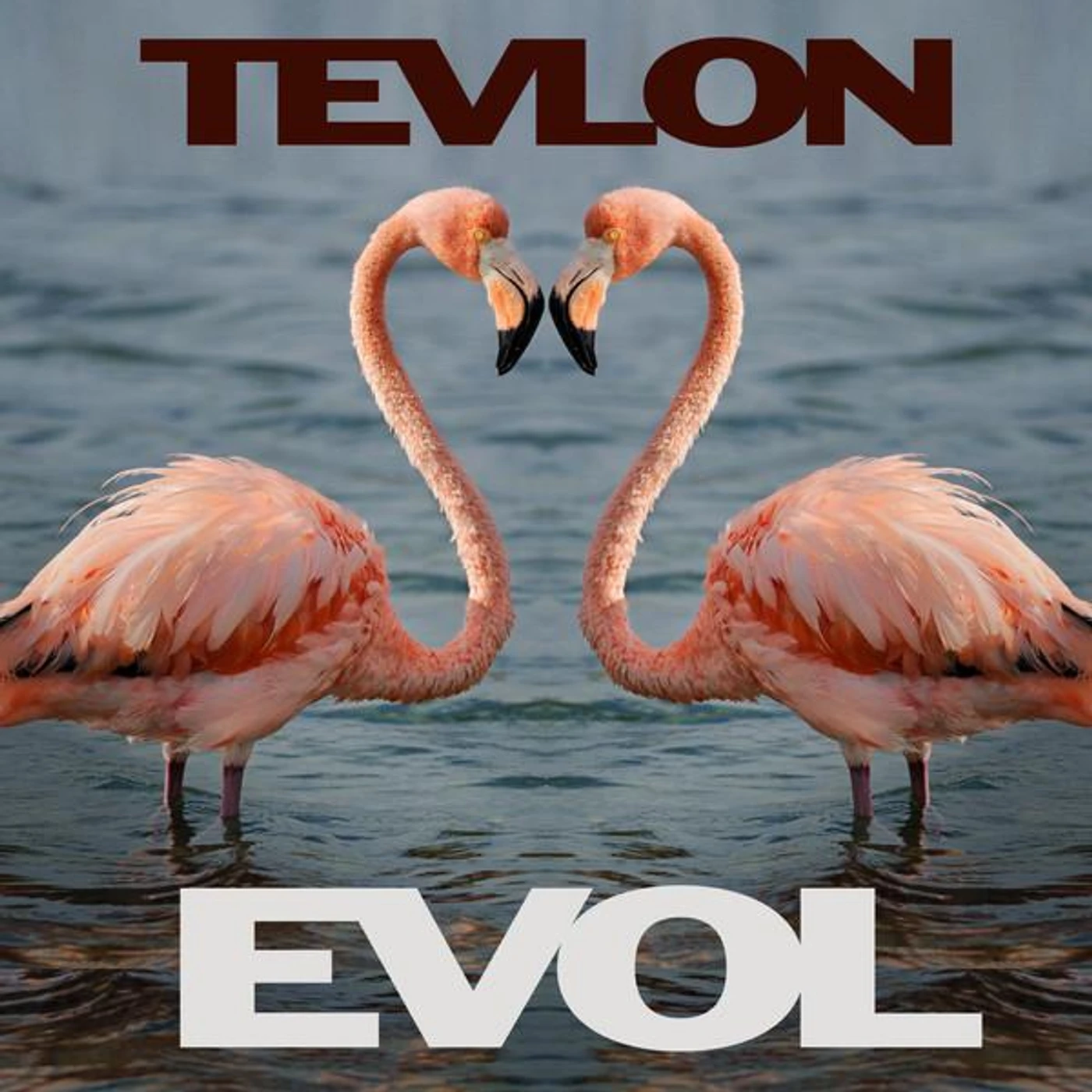 Tevlon Brand Page