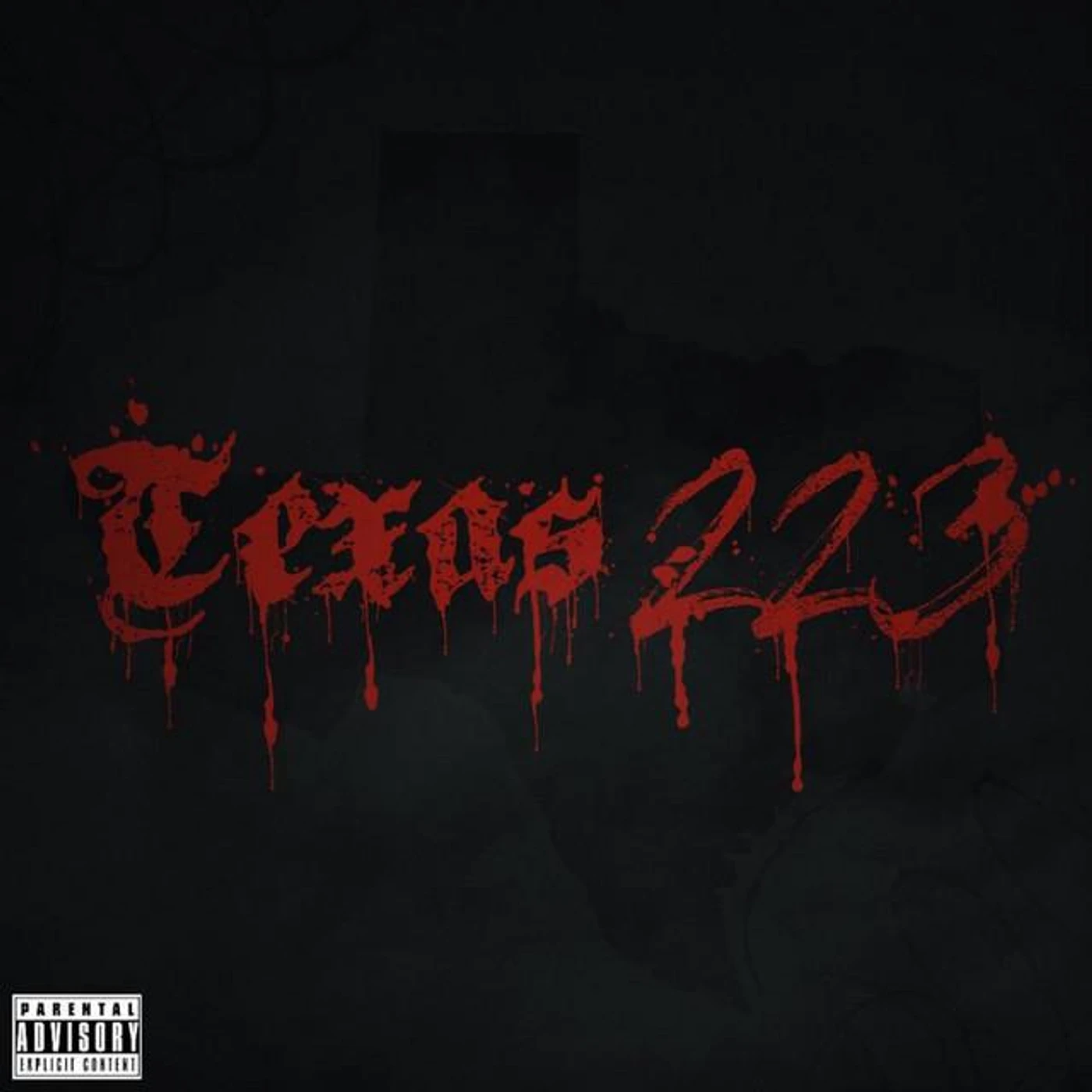 TEXAS 223