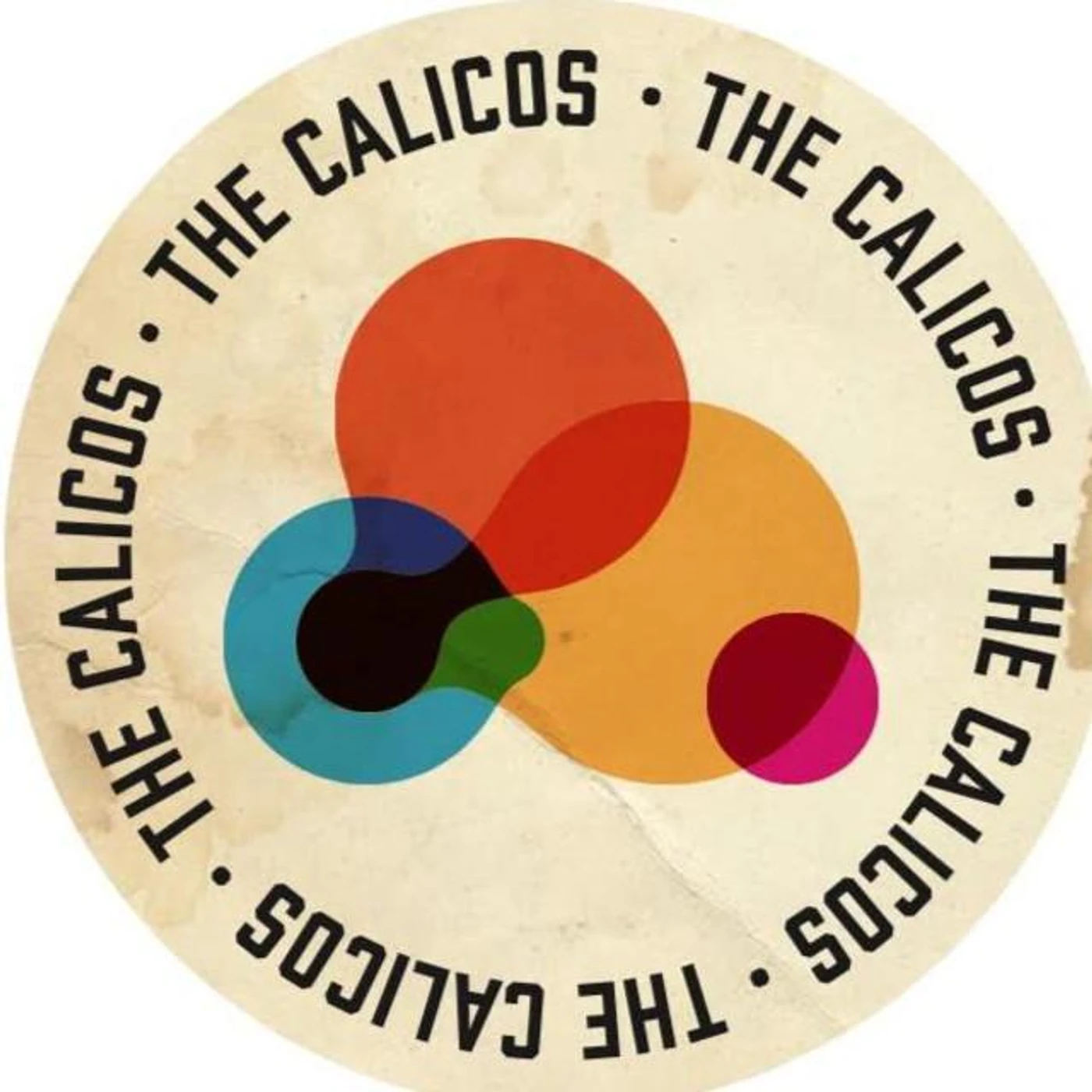 The Calicos