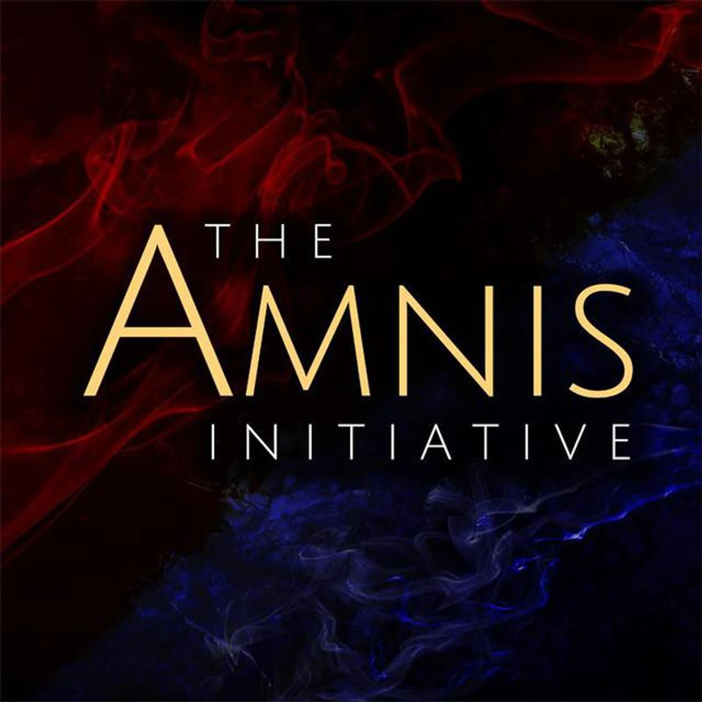 The Amnis Initiative Brand Page
