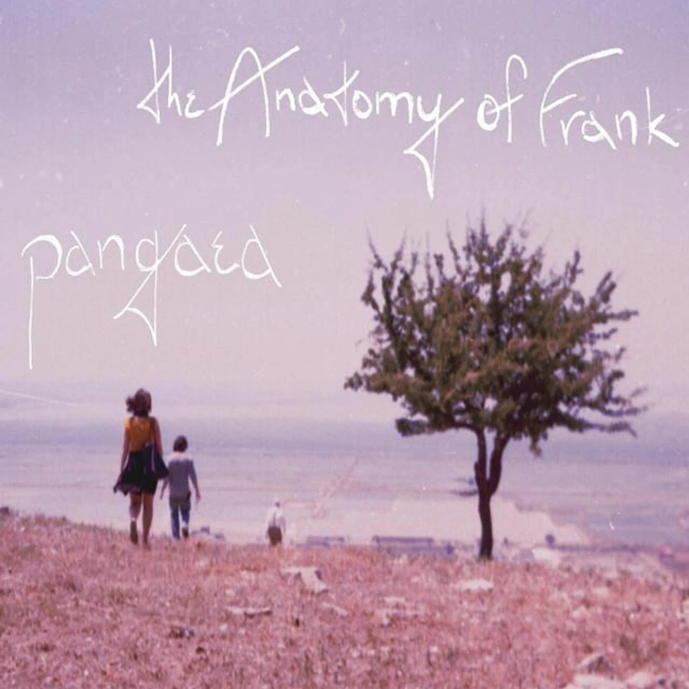 The Anatomy of Frank Brand Page