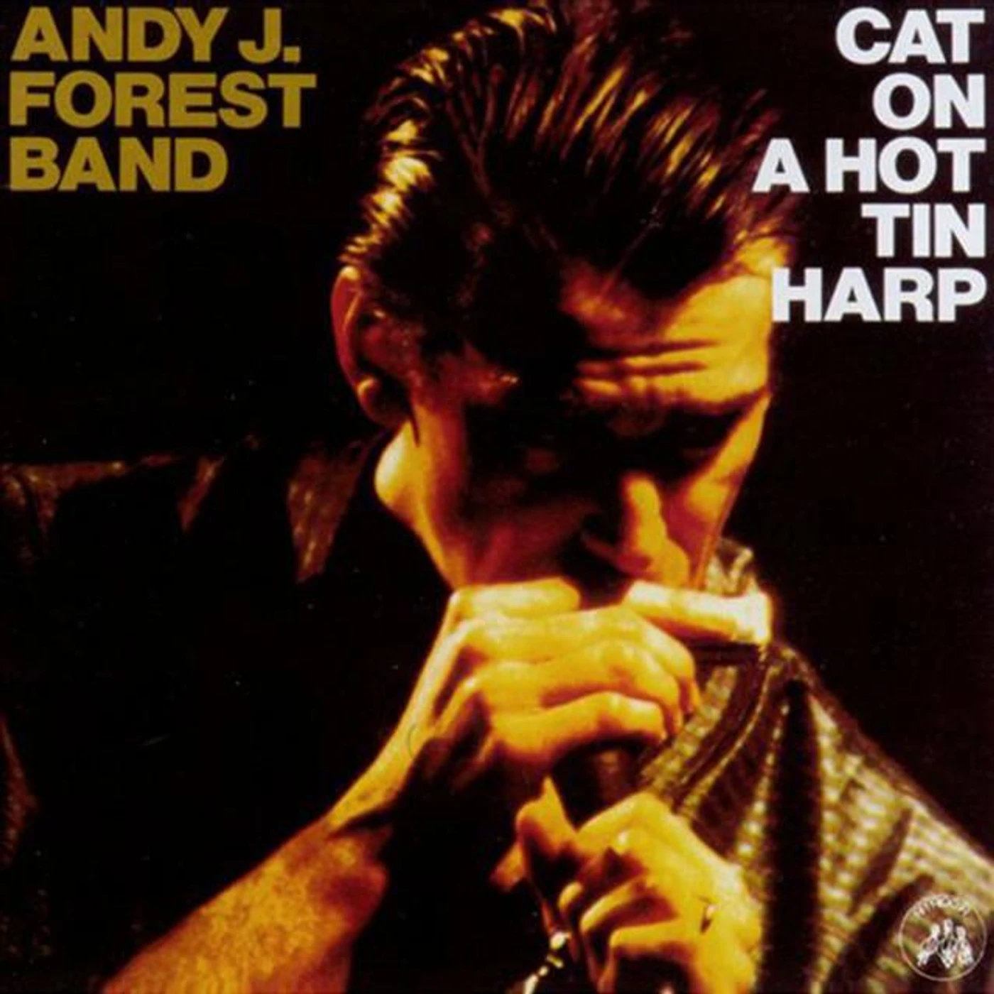 The Andy J Forest Band Brand Page