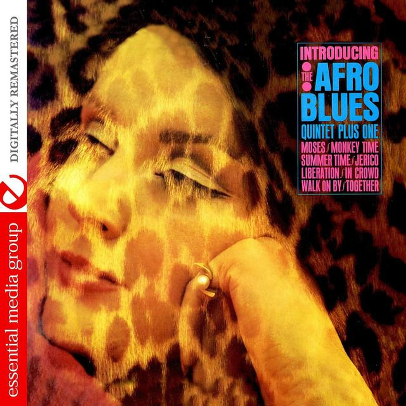 The Afro-Blues Quintet Plus One Brand Page