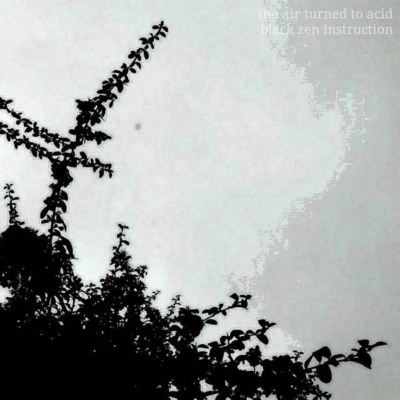 The Air Turned To Acid