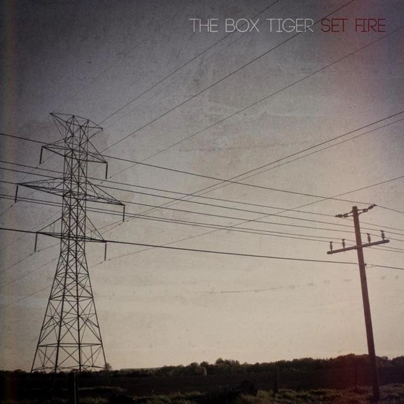 The Box Tiger