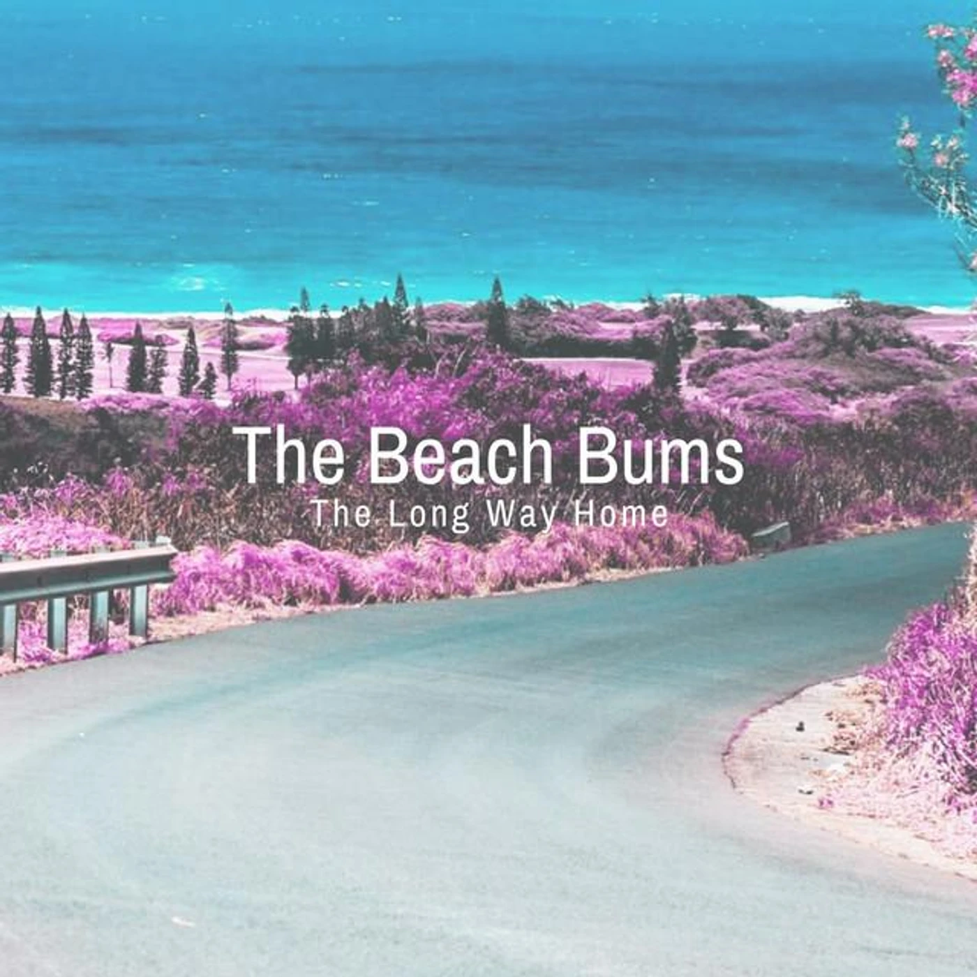 The Beach Bums Brand Page