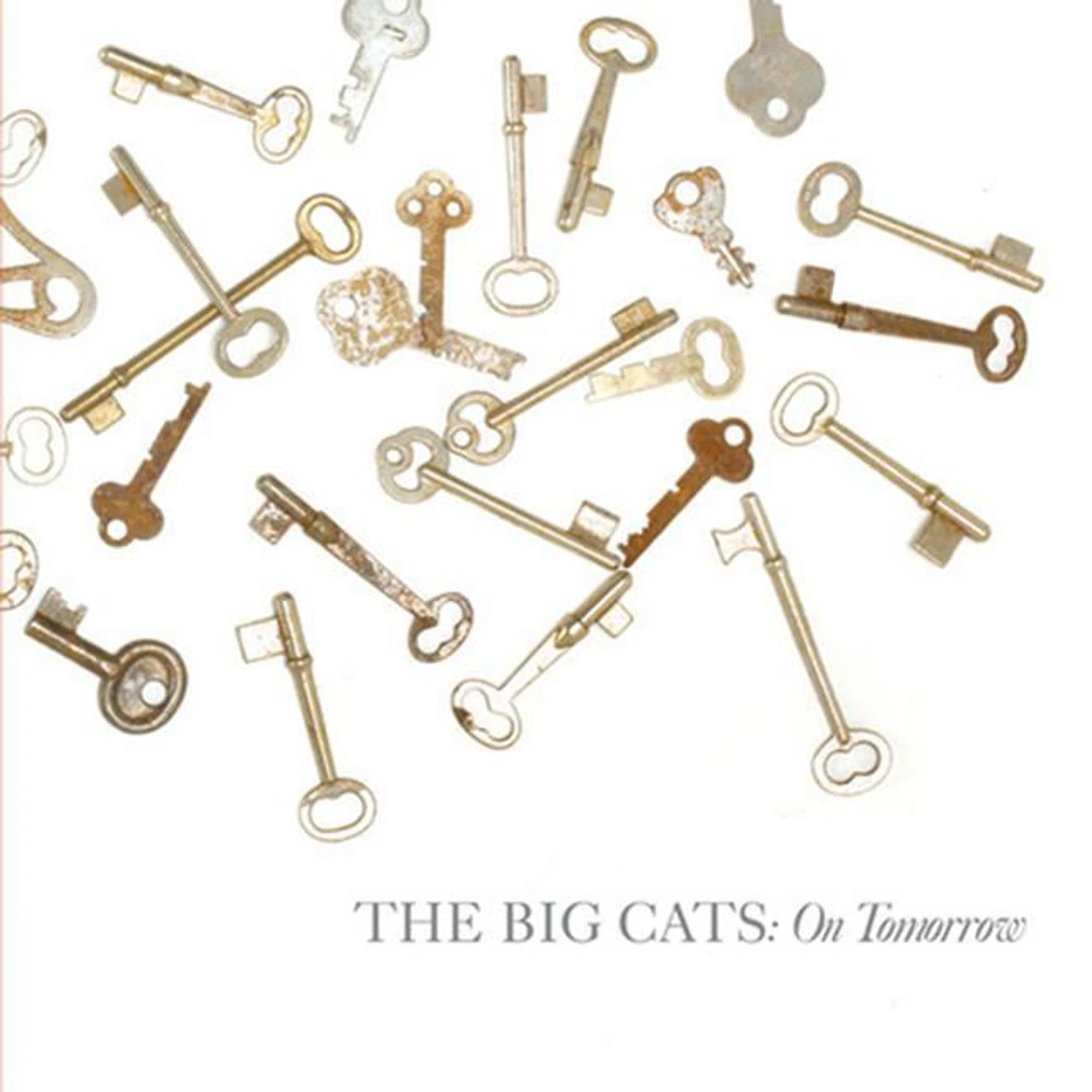 The Big Cats Brand Page