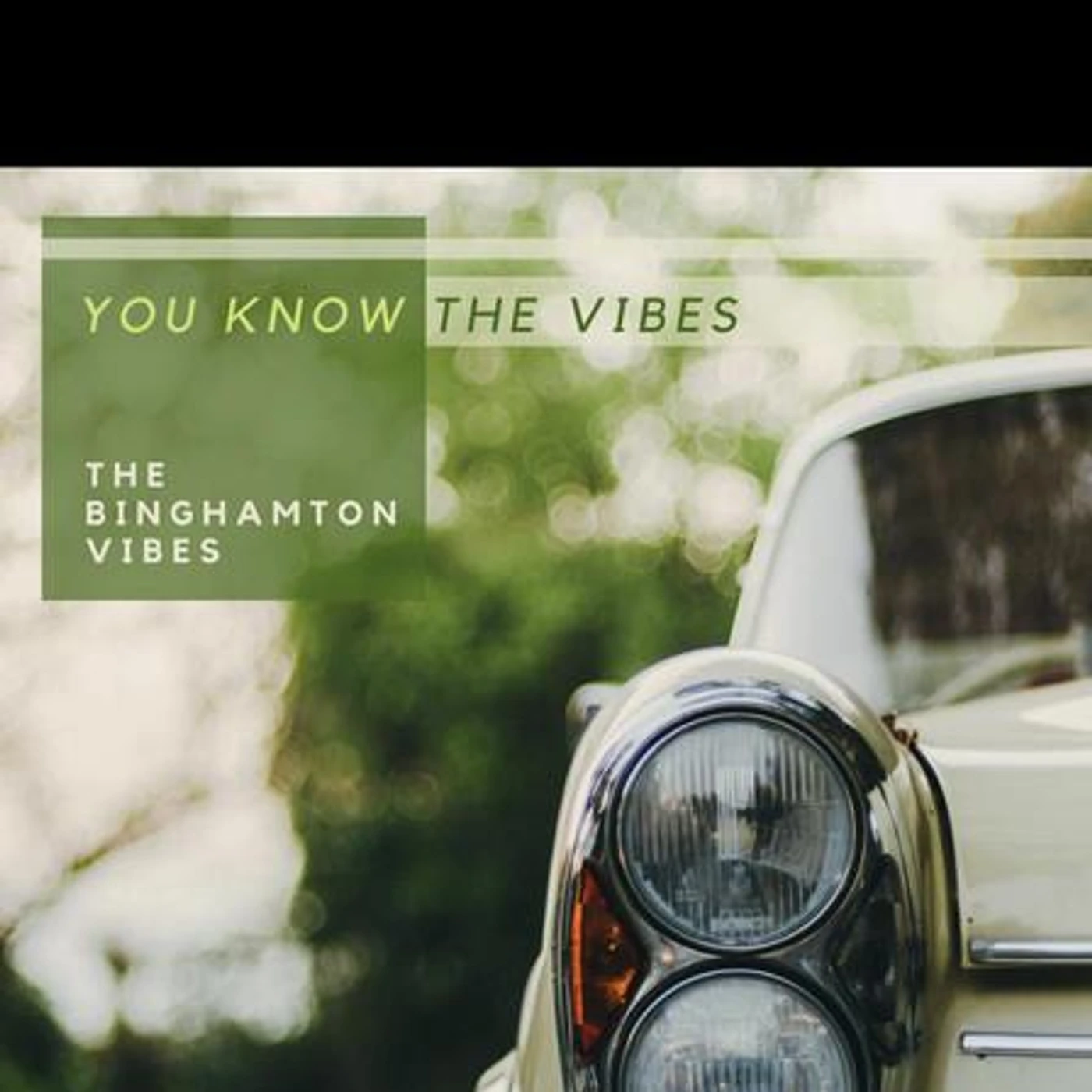 The Binghamton Vibes Brand Page