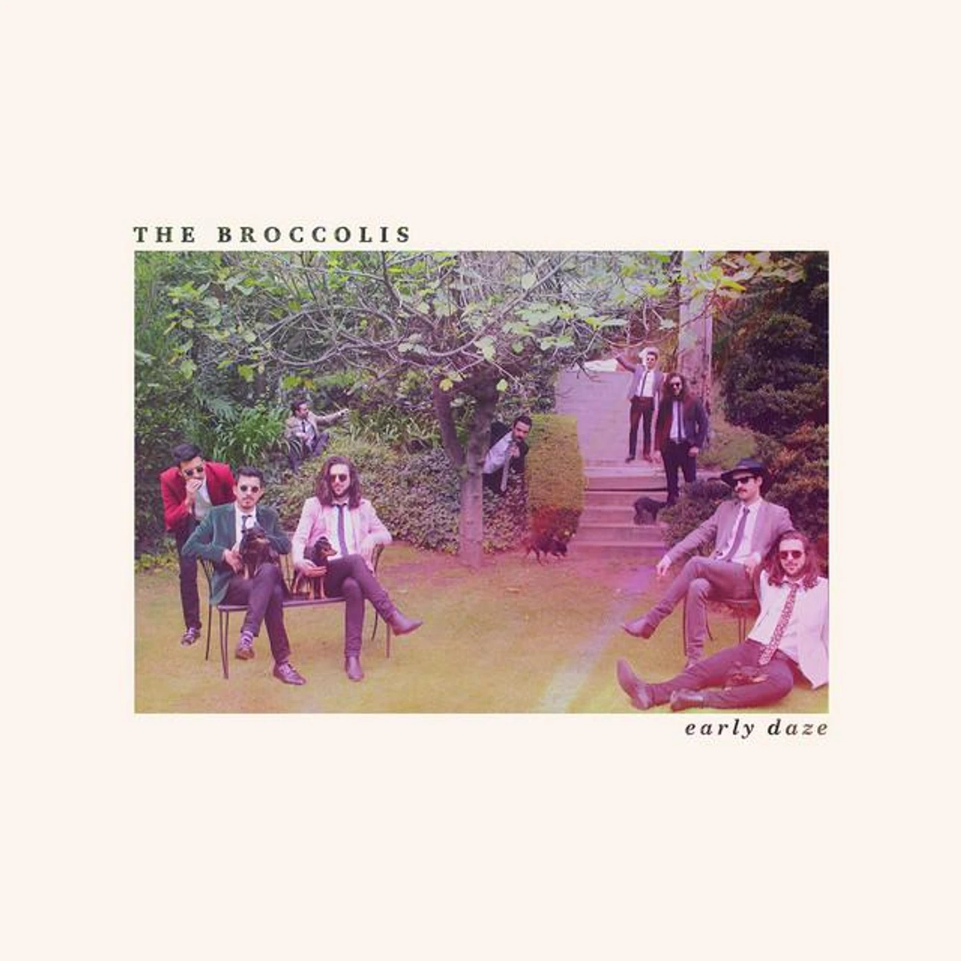 The Broccolis