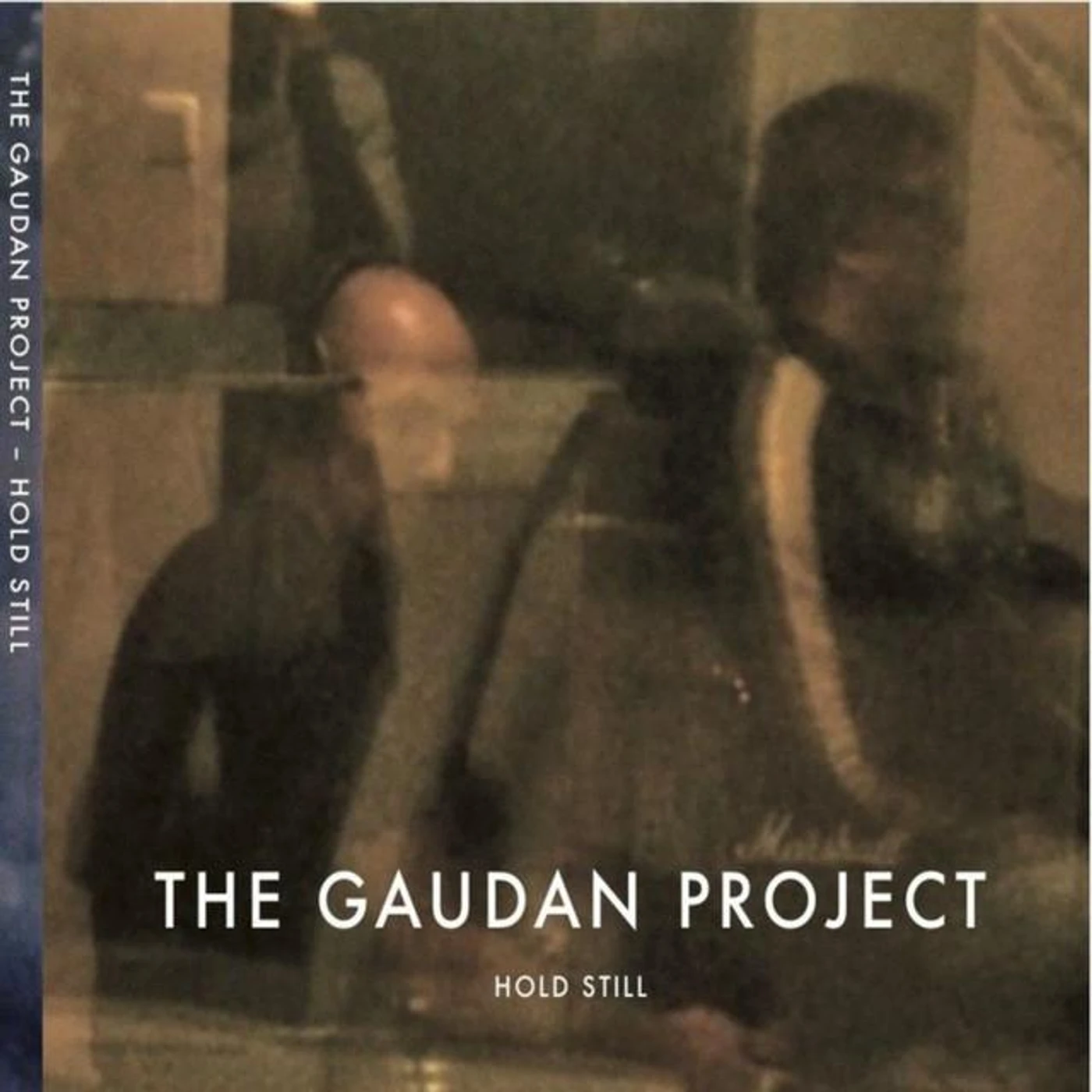 The Gaudan Project Brand Page