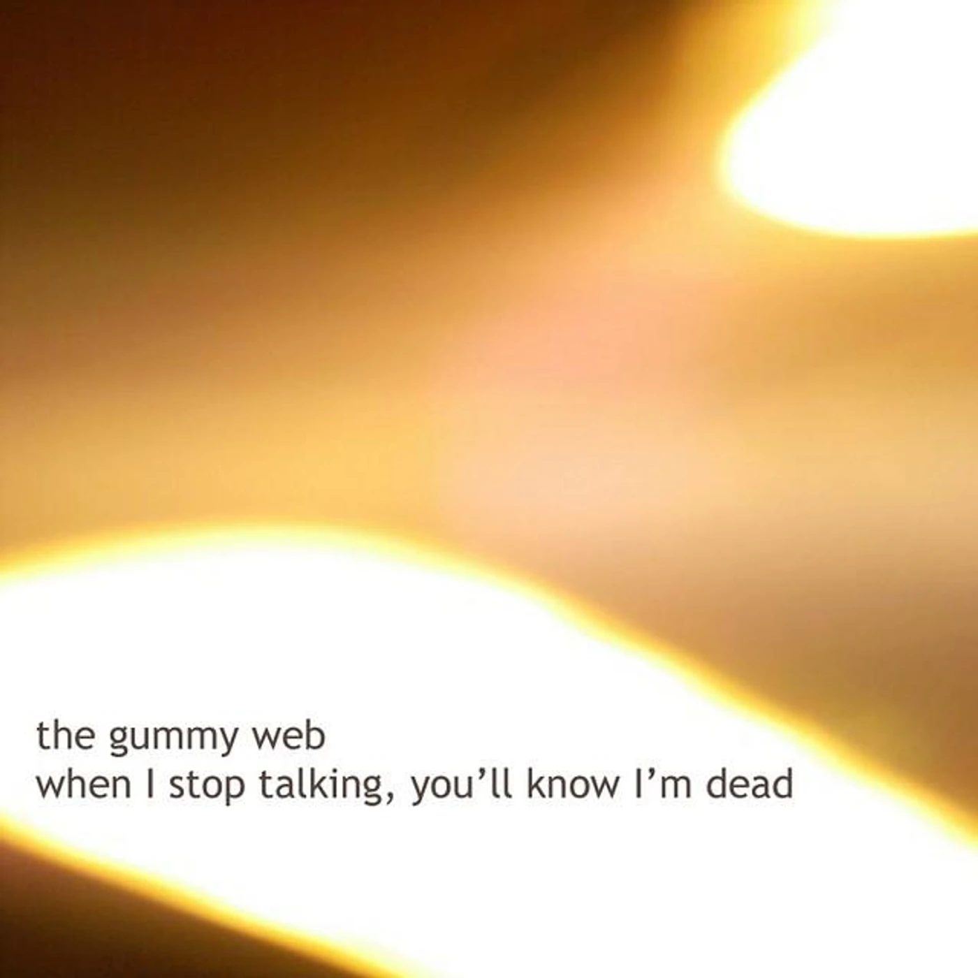 The Gummy Web Brand Page