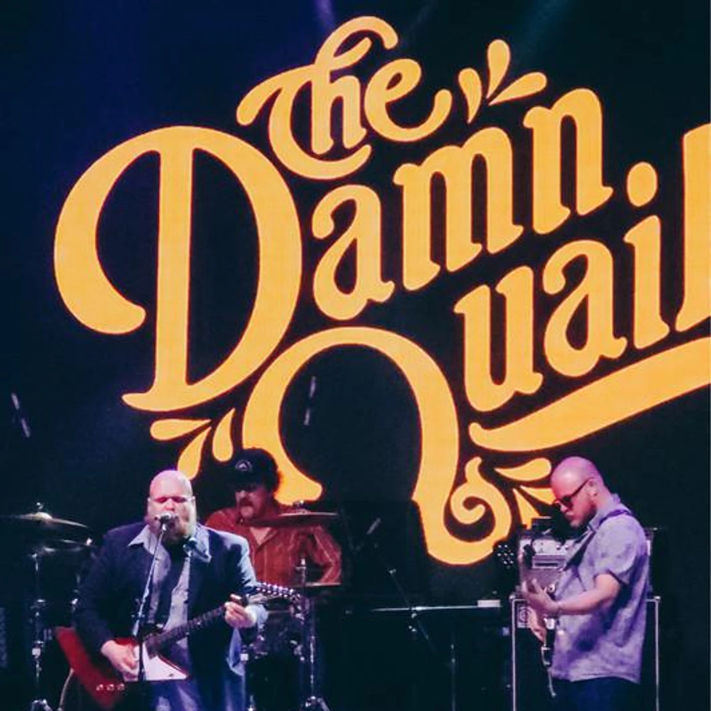 The Damn Quails Brand Page