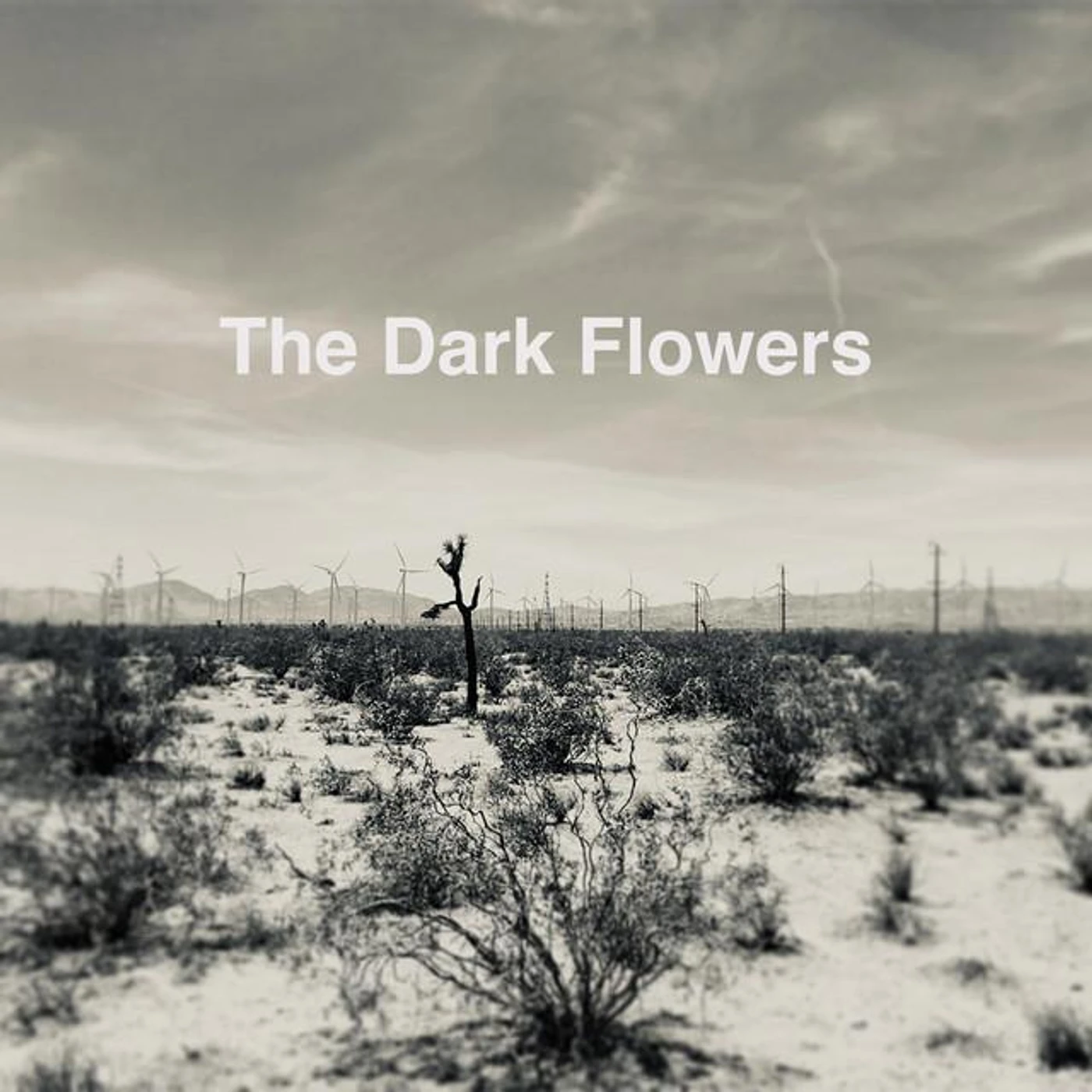 The Dark Flowers