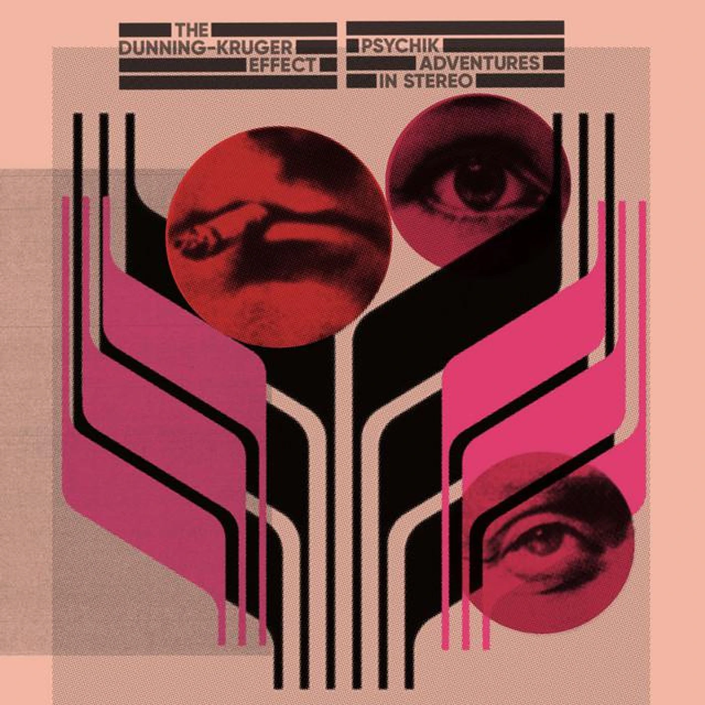 The Dunning-Kruger Effect Brand Page