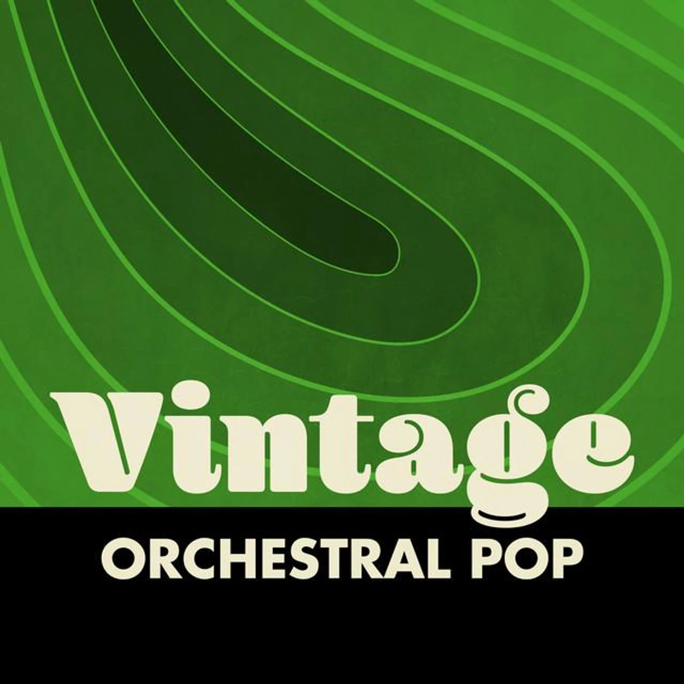 The Edmund Vera Orchestra Brand Page