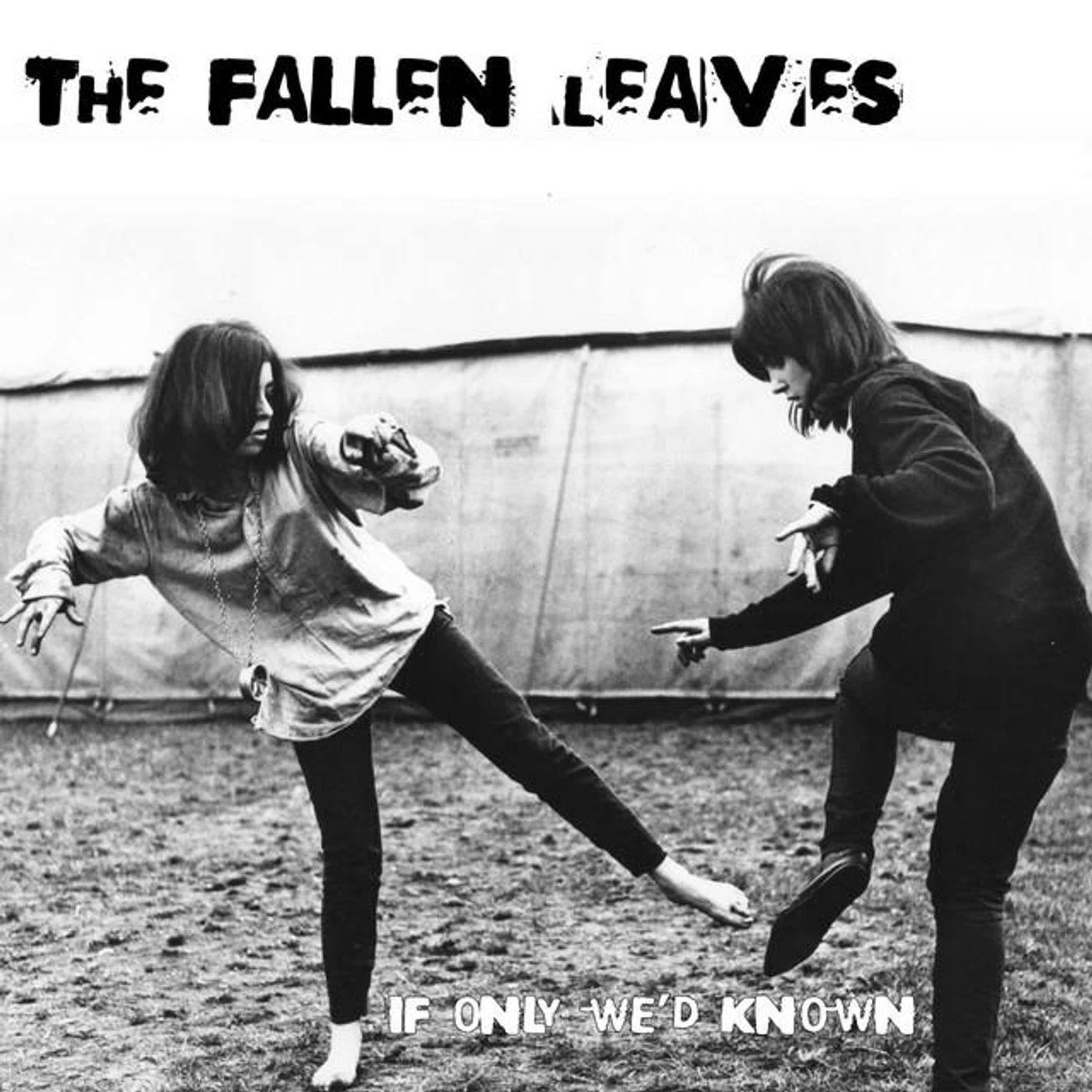 The Fallen Leaves Brand Page