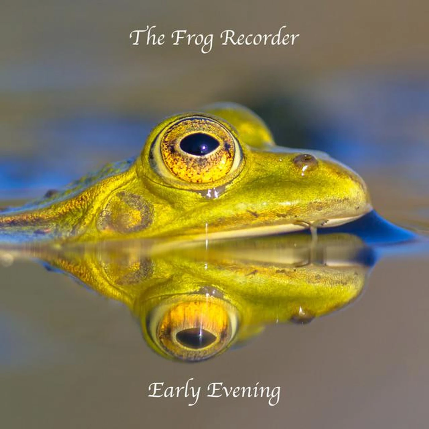 The Frog Recorder Brand Page