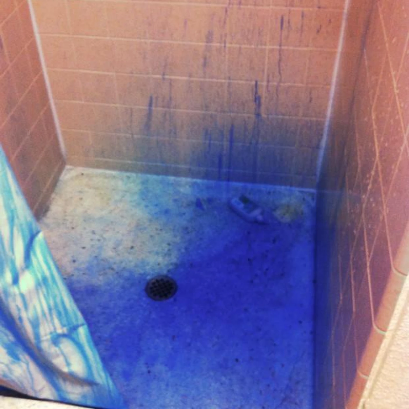 The Happy Children Brand Page