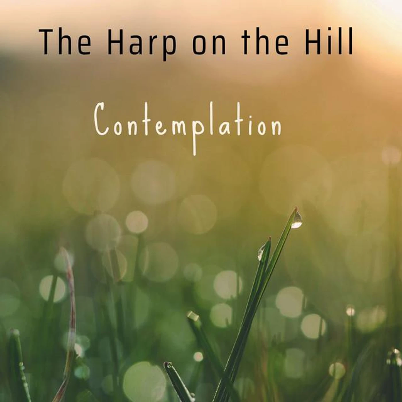 The Harp on the Hill Brand Page
