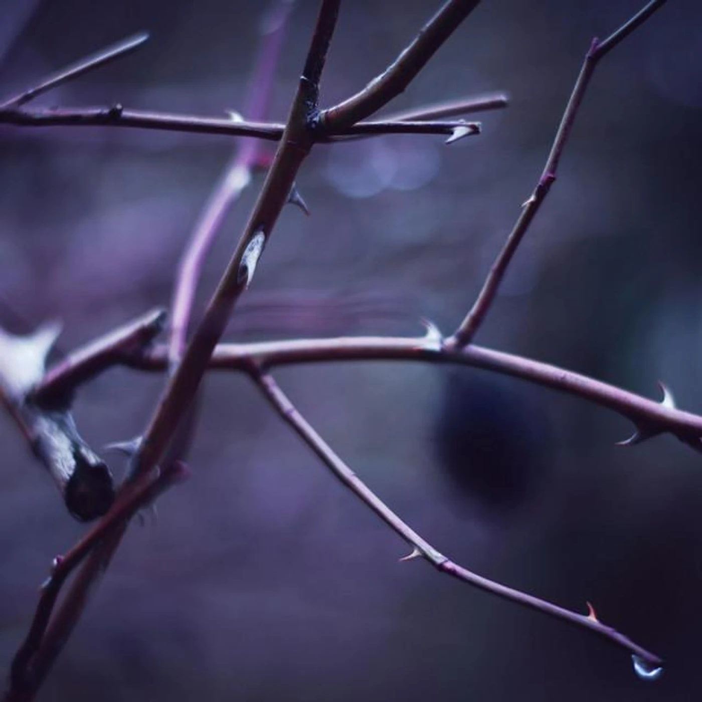 The Hymnal Project Brand Page