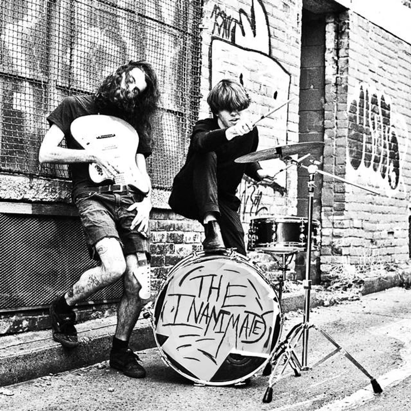 The Inanimates