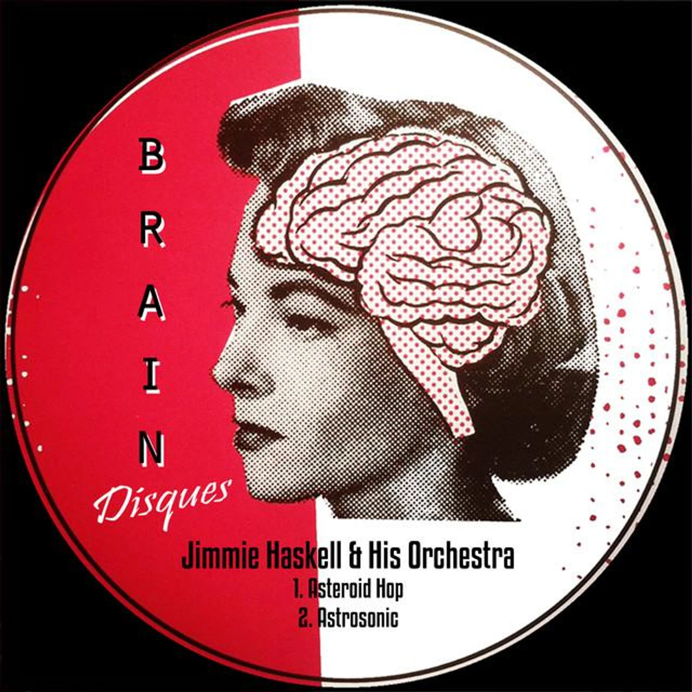 The Jimmie Haskell Orchestra Brand Page