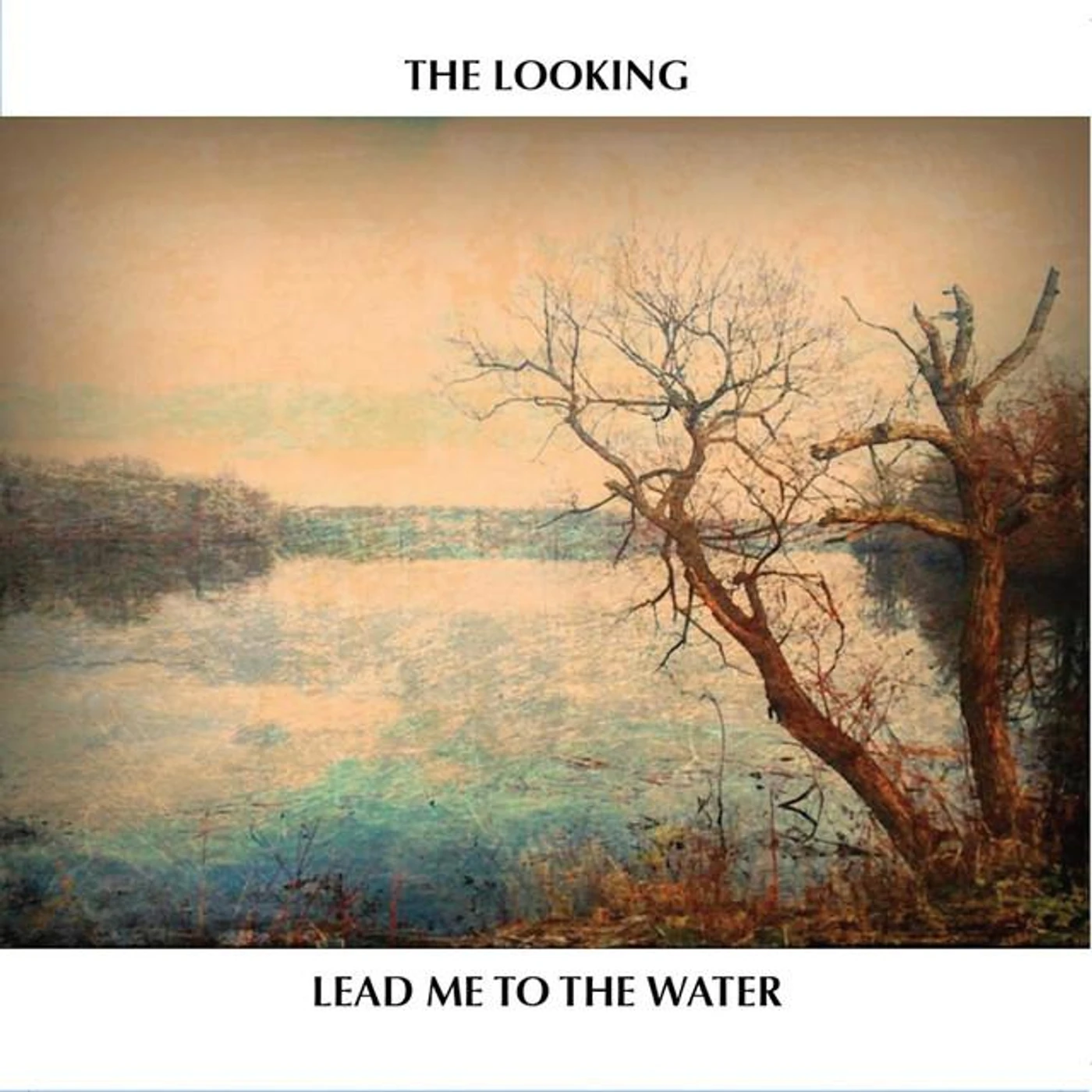 The Looking Brand Page