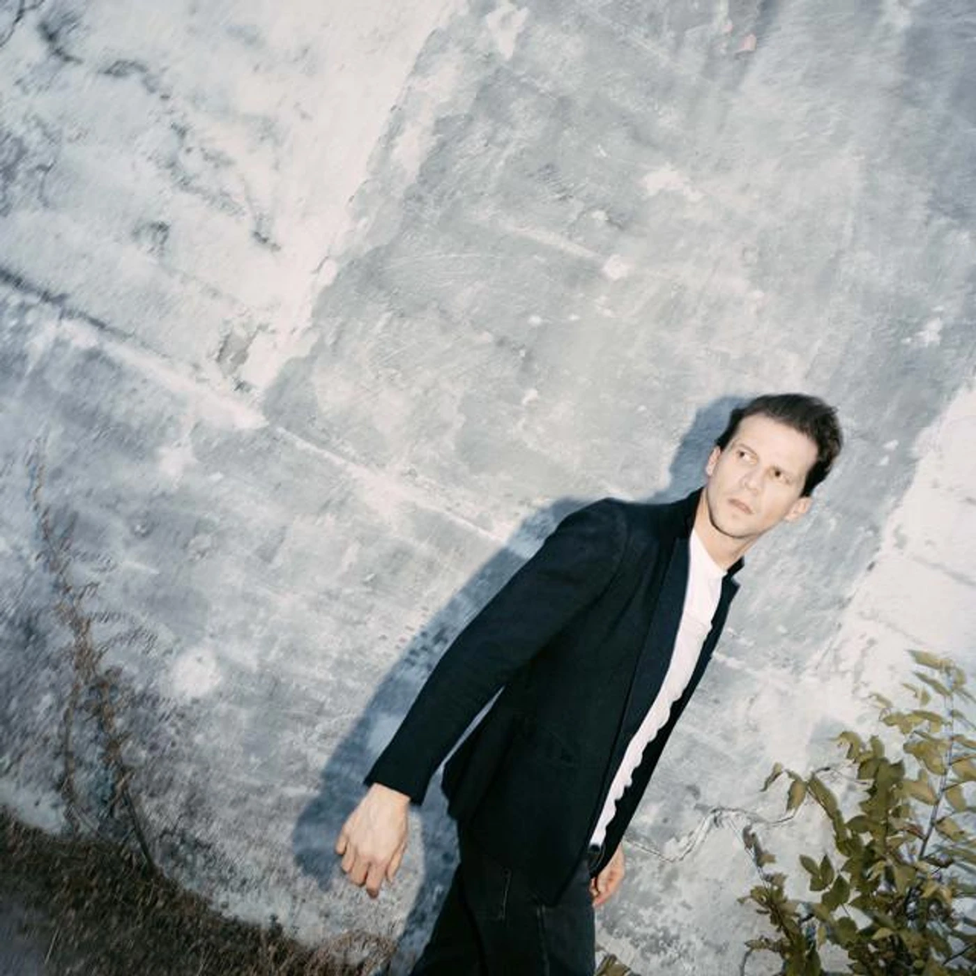 The Last Royals Brand Page