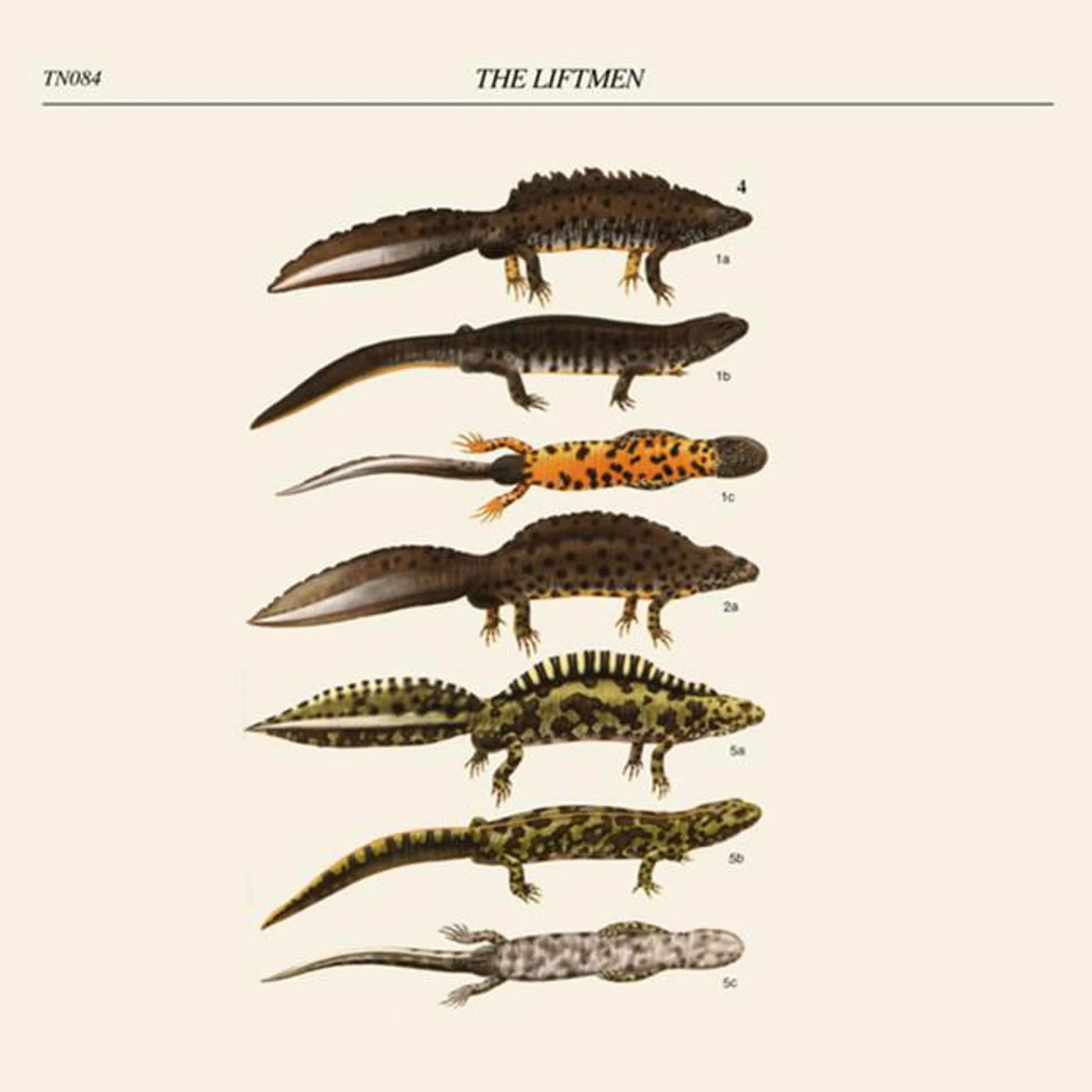 The Liftmen Brand Page