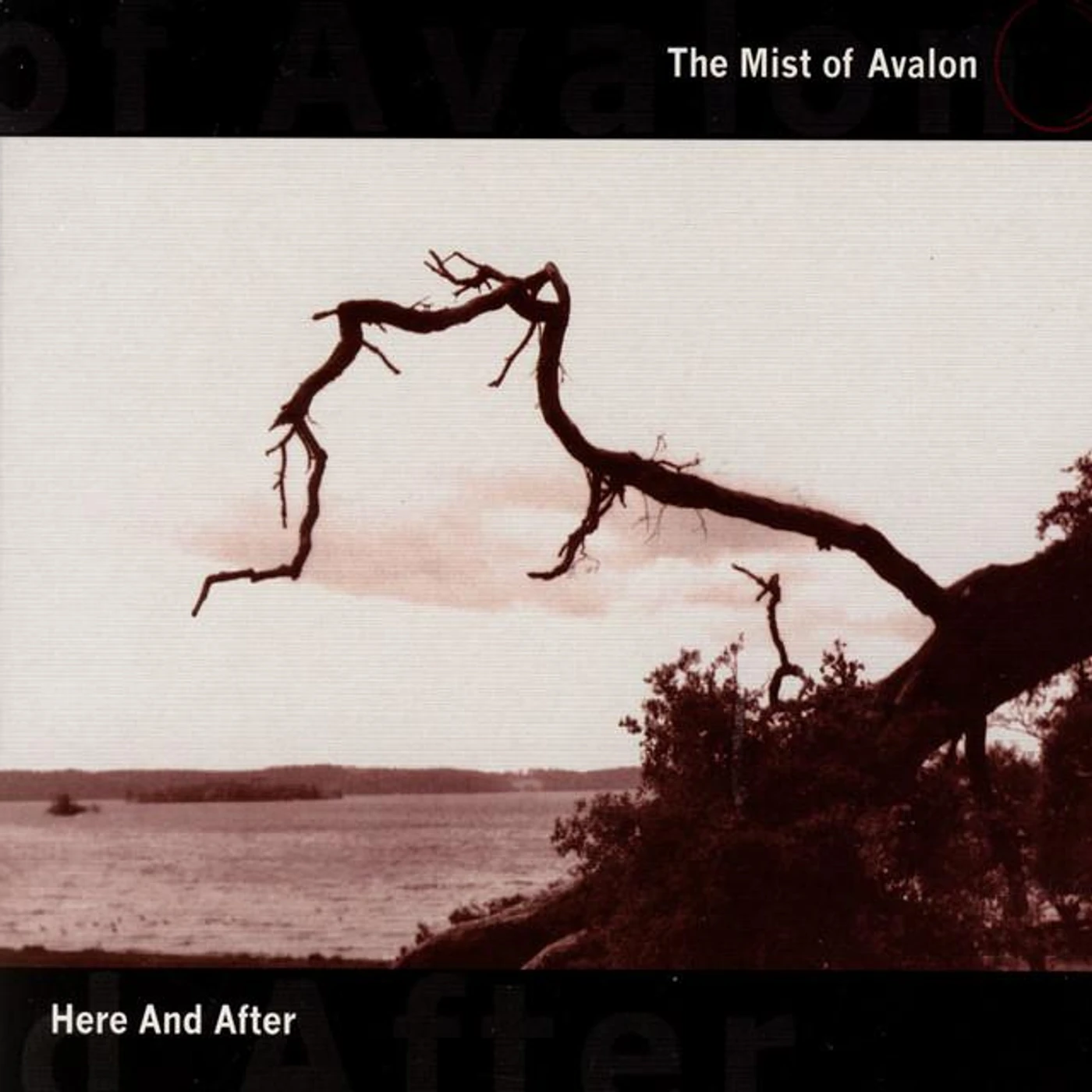 The Mist Of Avalon Brand Page