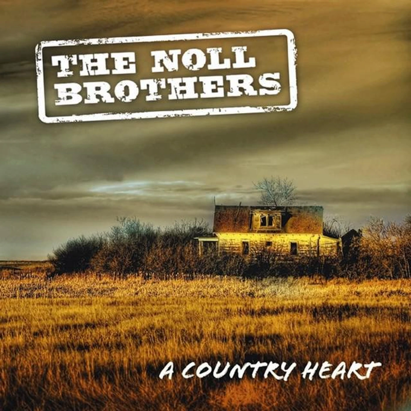 The Noll Brothers