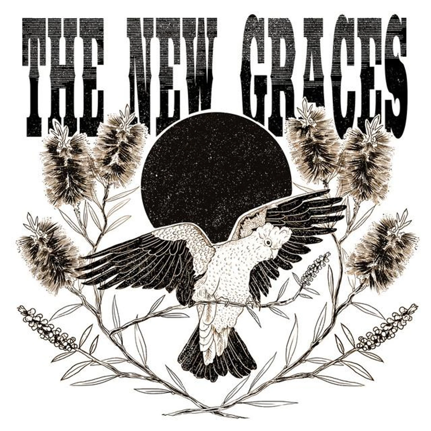 The New Graces Brand Page